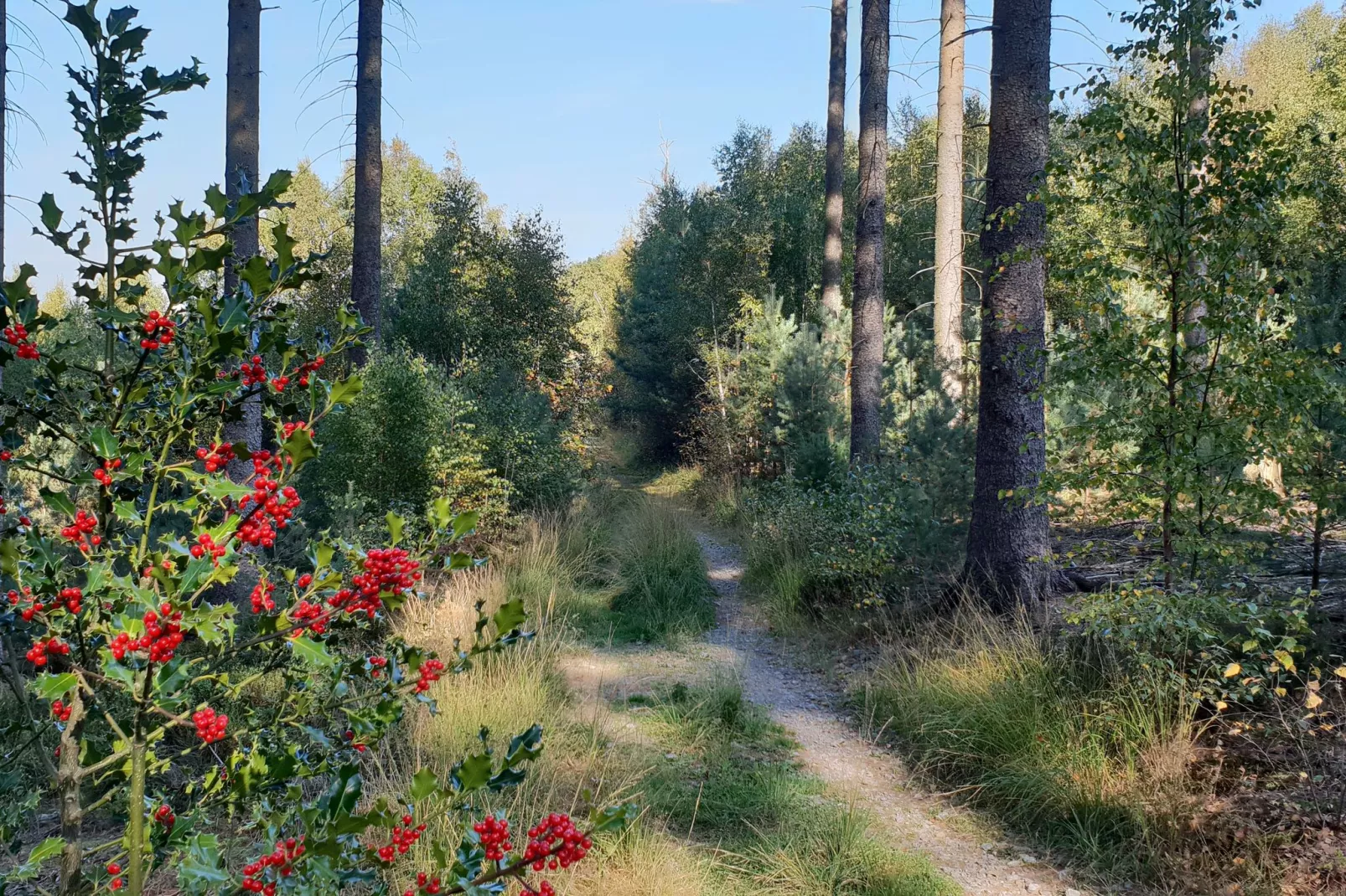 Le Dragon-Gebieden zomer 5km