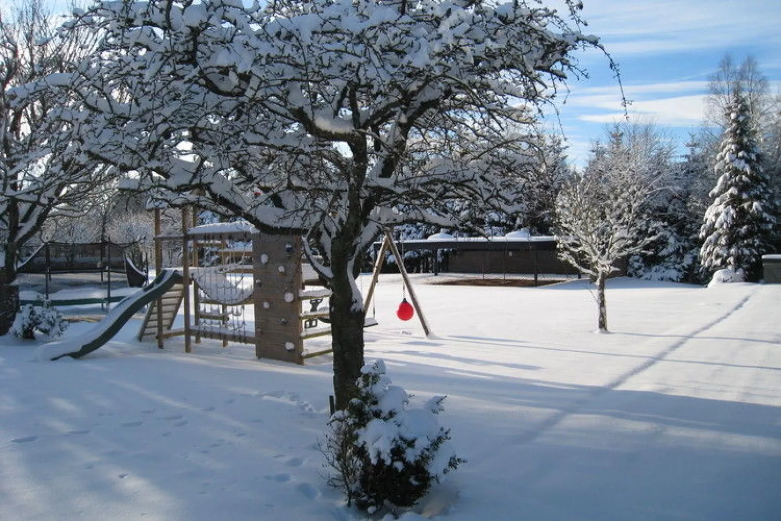 Le Lodge du Lac et piscine-Tuin winter