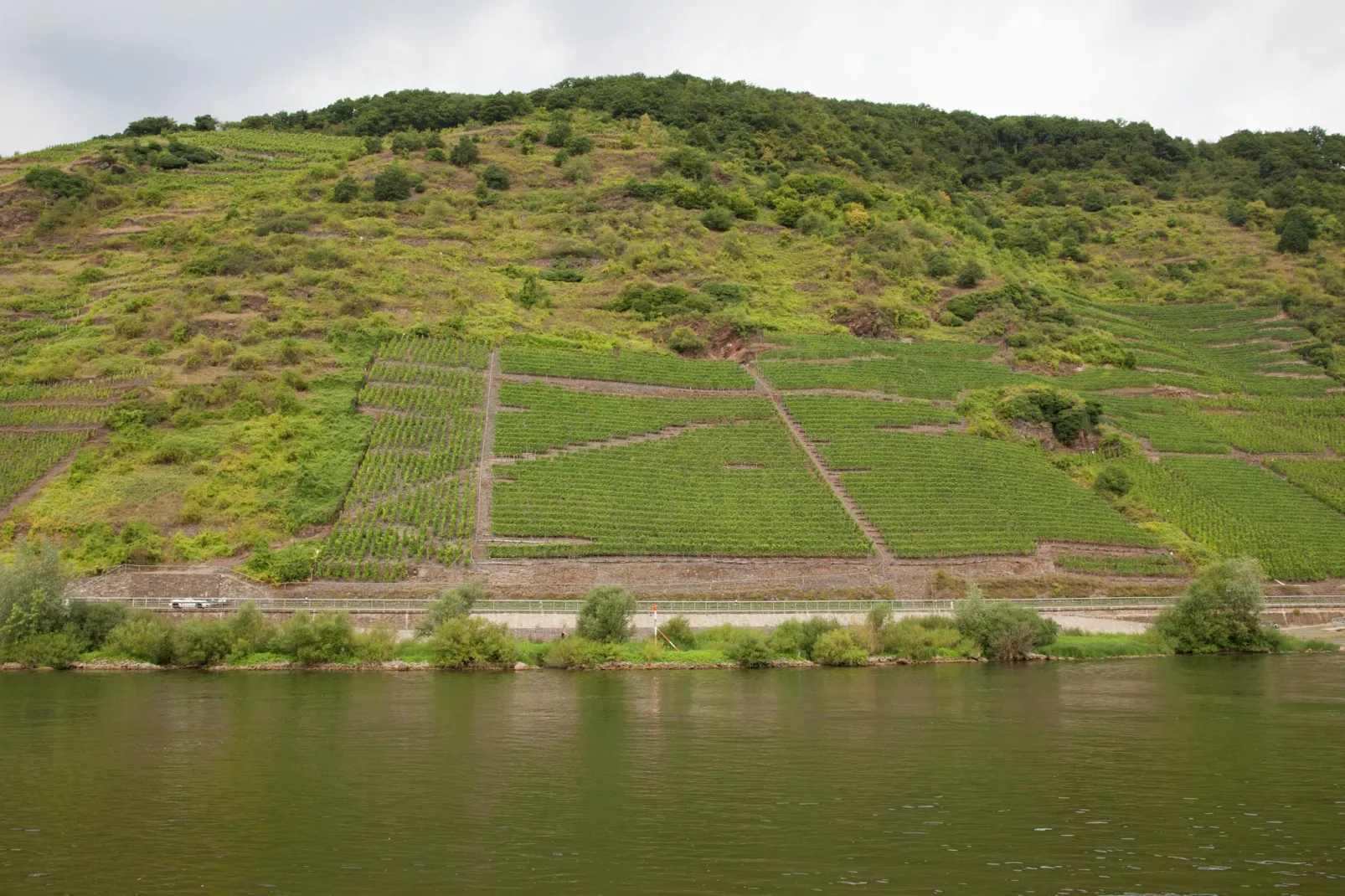 Weingut Hausmann-Gebieden zomer 5km