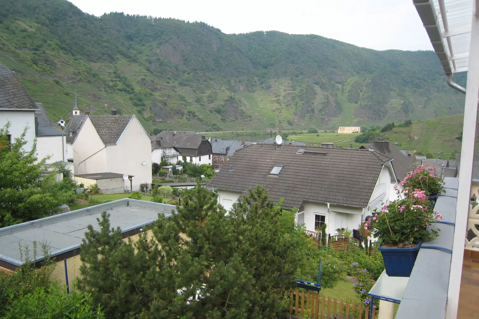 Haus Moselblick-Uitzicht zomer