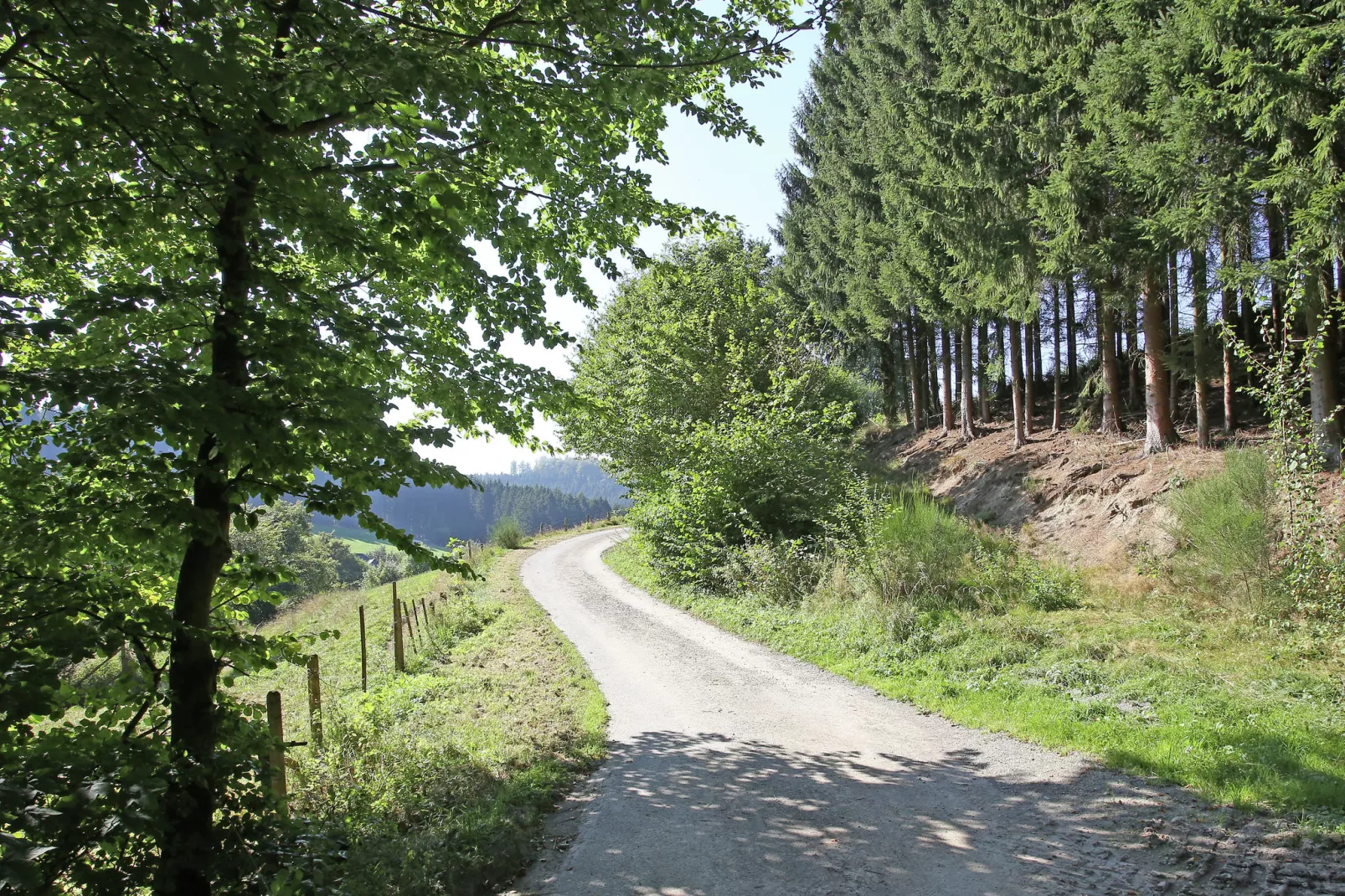 Biberbau-Gebieden zomer 1km