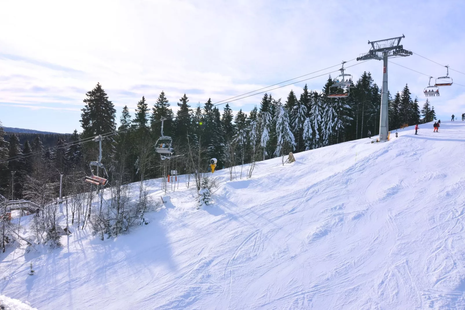 Olsberg-Elpe-Gebied winter 20km