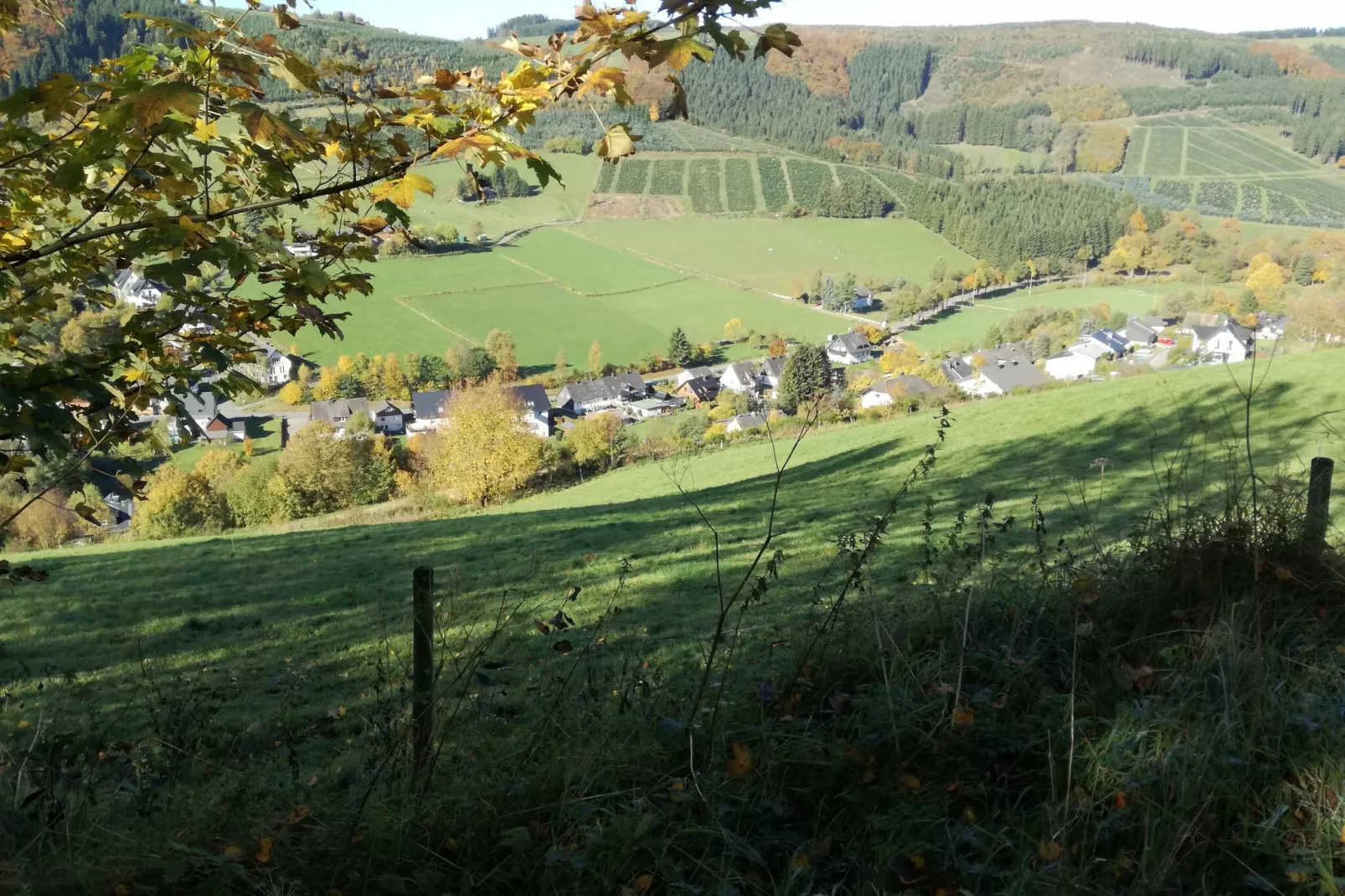 Elpe-Gebieden zomer 5km