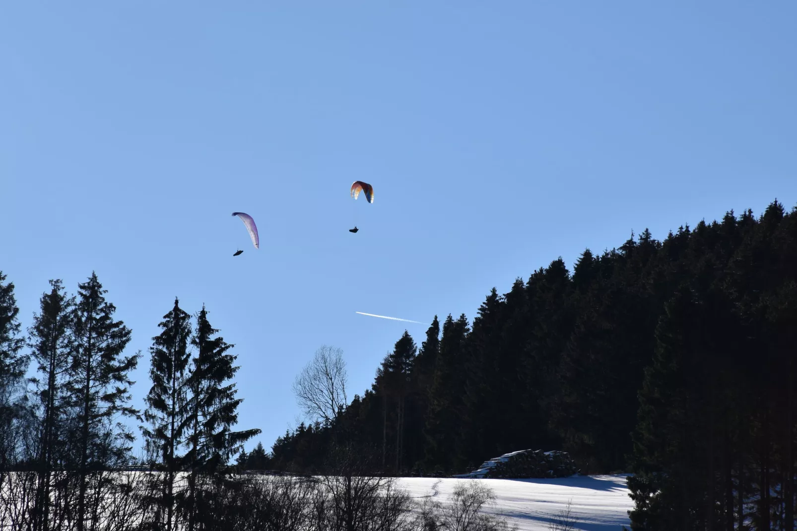 Dagmar-Gebied winter 1km