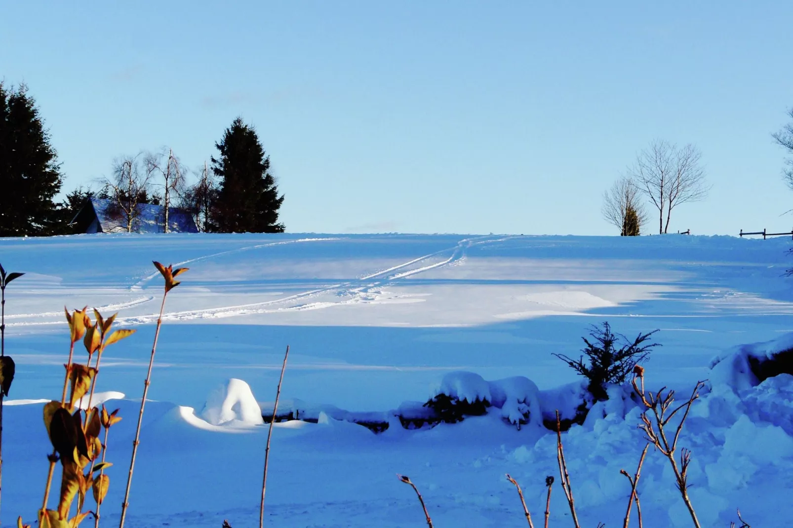 Winterberg-Tuin winter