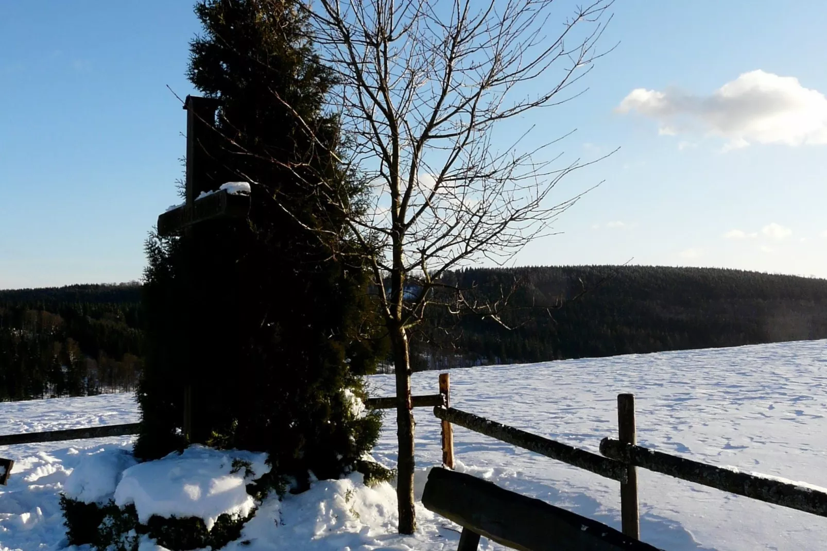 Winterberg-Uitzicht winter