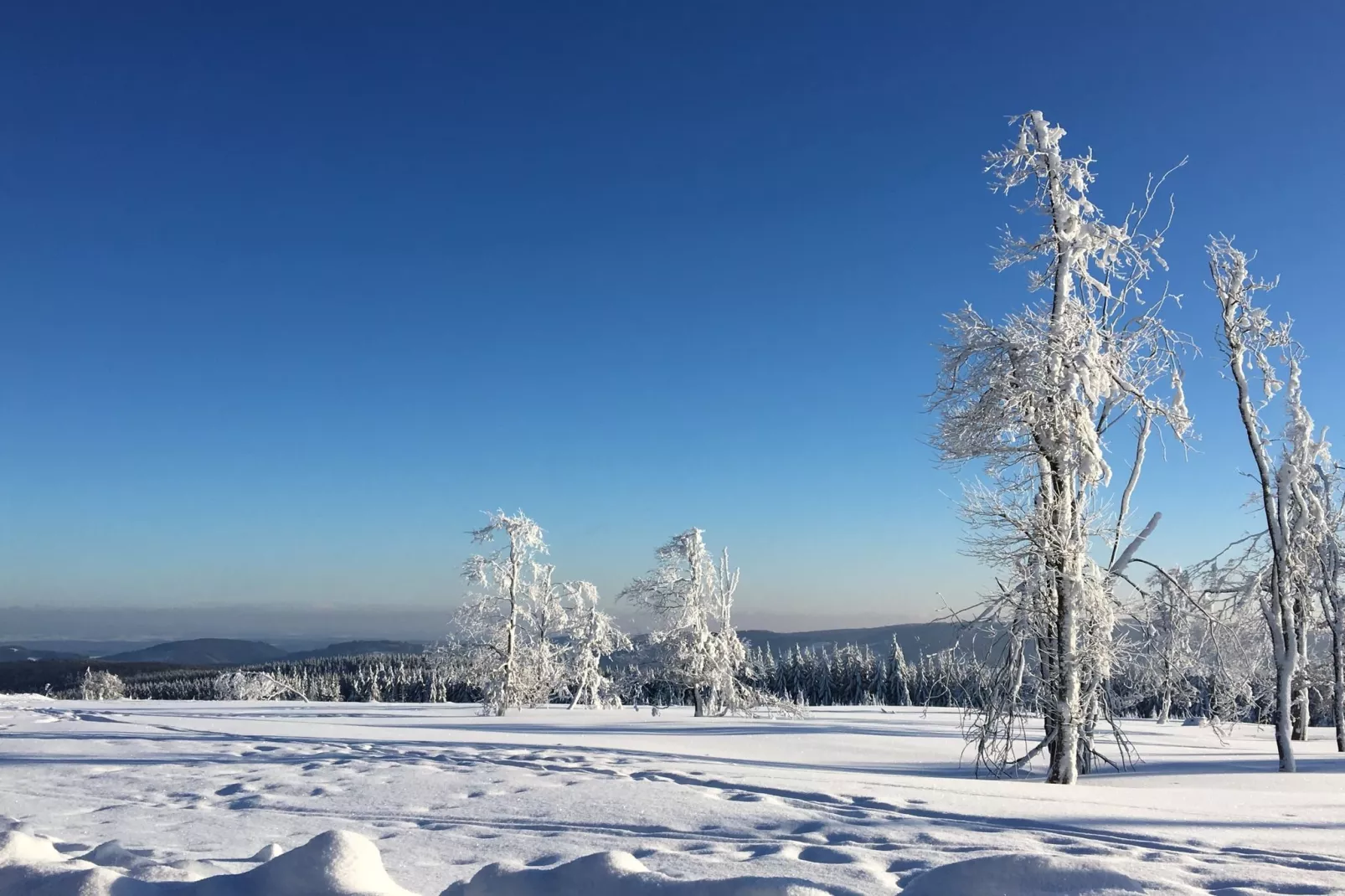 Winterberg-Gebied winter 20km