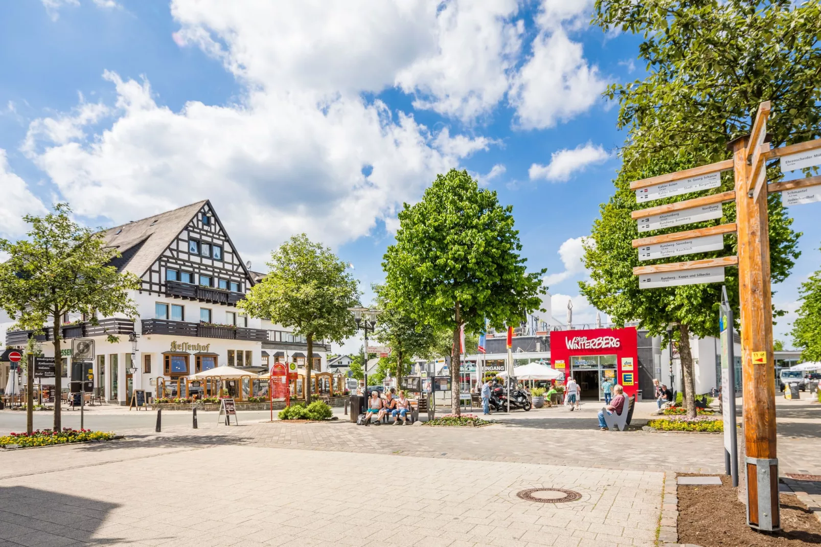 Bergresort Winterberg 3-Gebieden zomer 5km