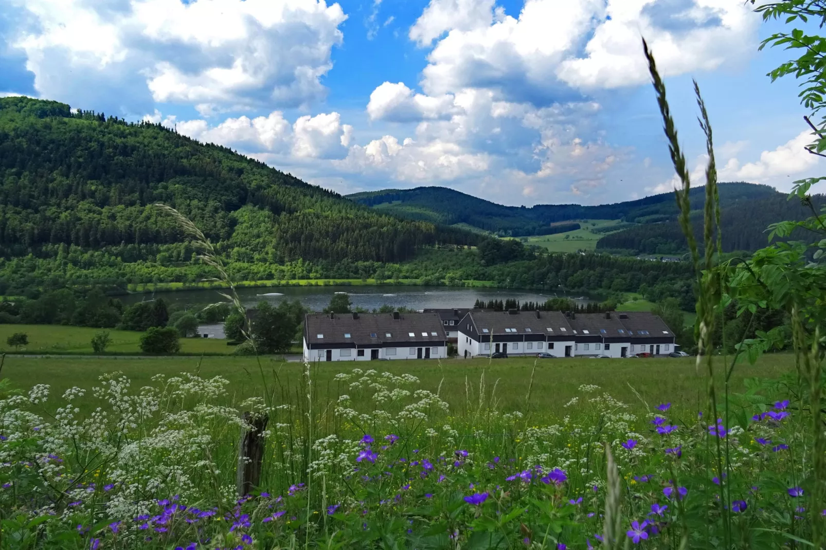 Am Lindenhof