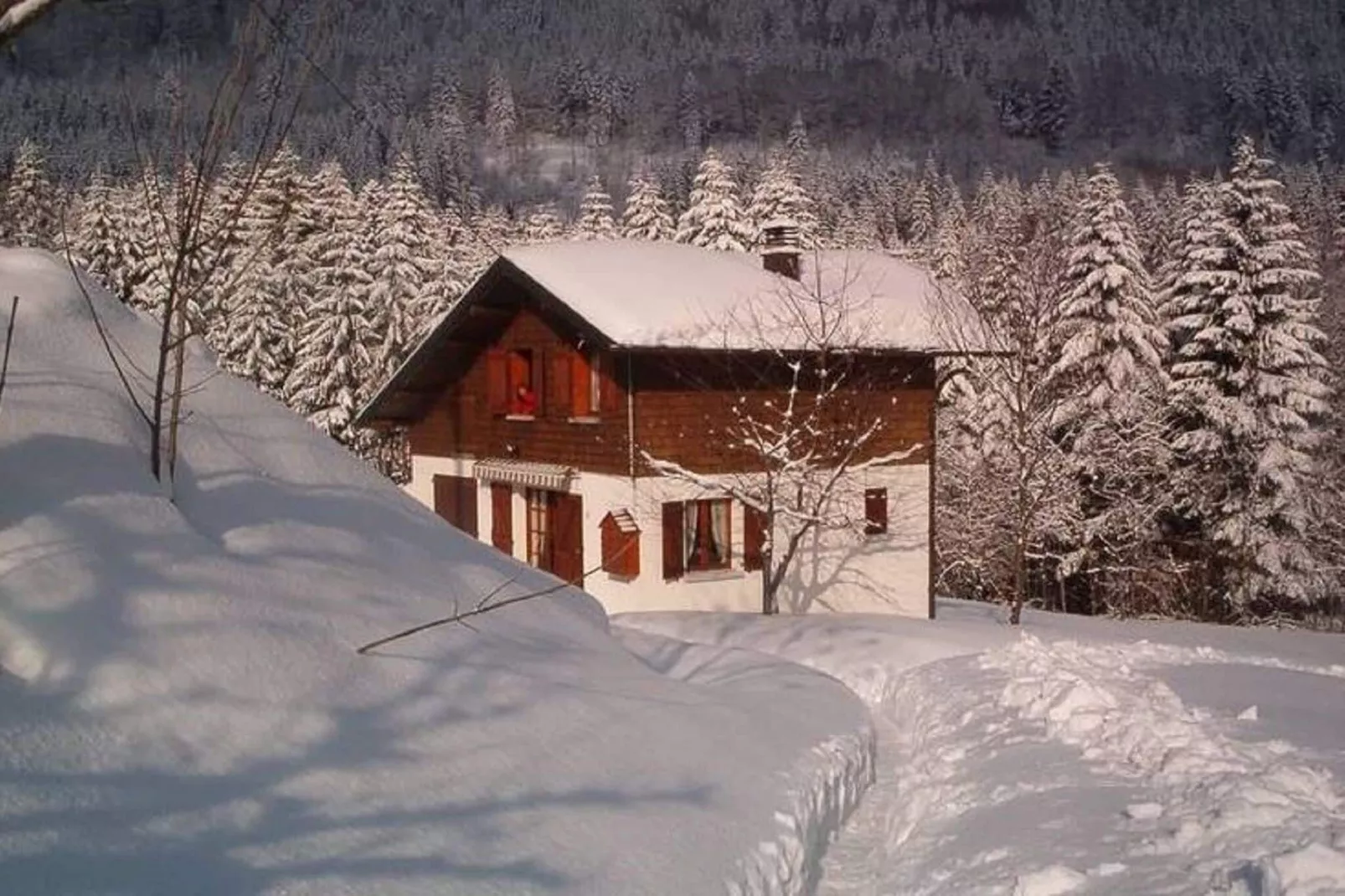 A l'Orée des Bois