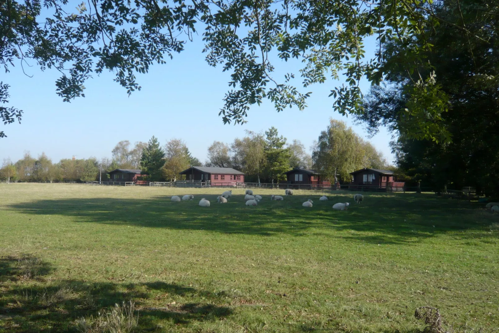 Tore Petty-Gebieden zomer 5km