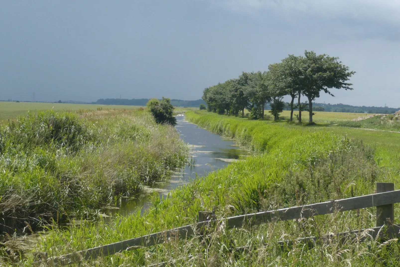 Five Waterings-Gebieden zomer 1km