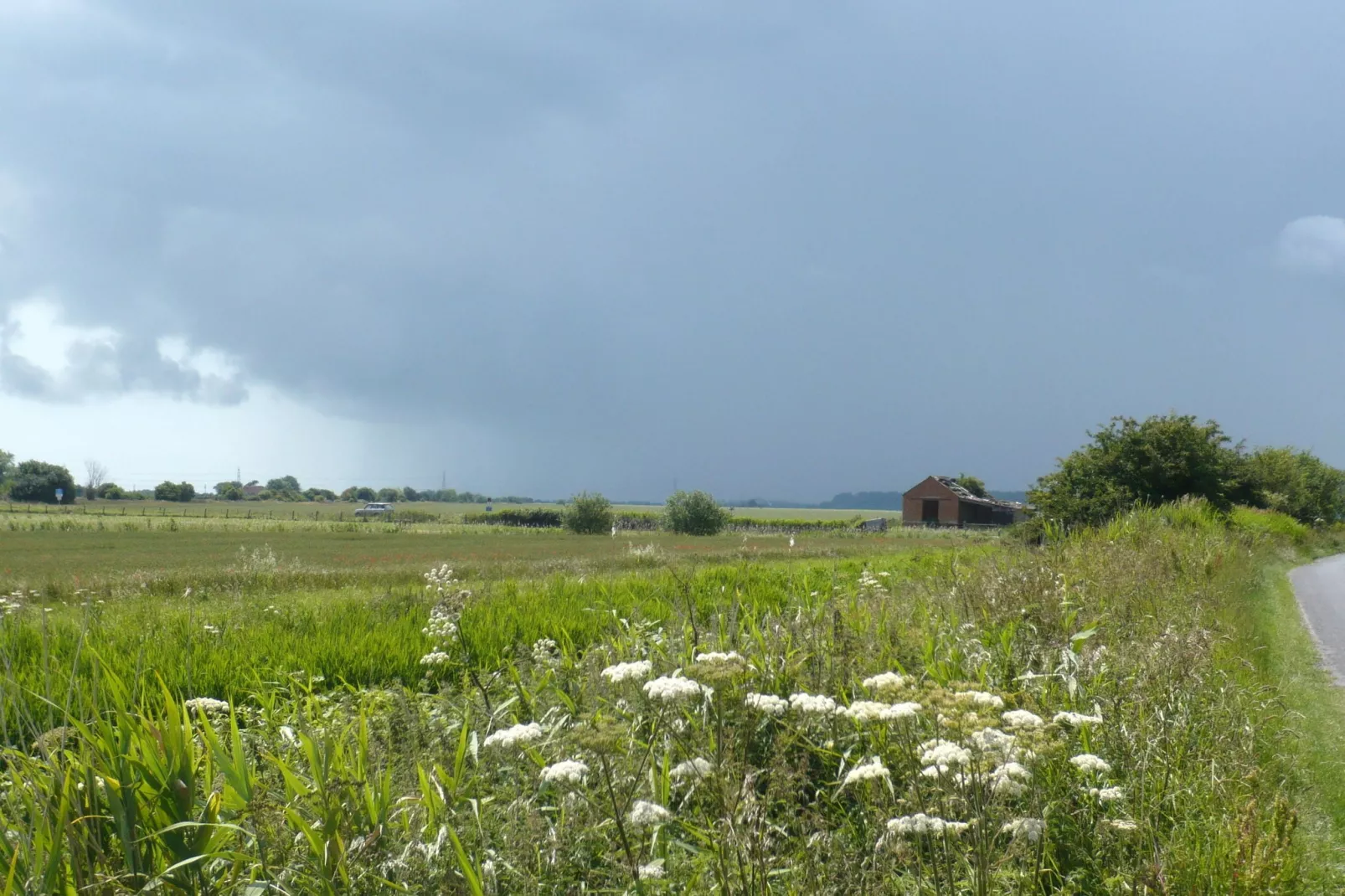 Rainbow Petty-Gebieden zomer 5km