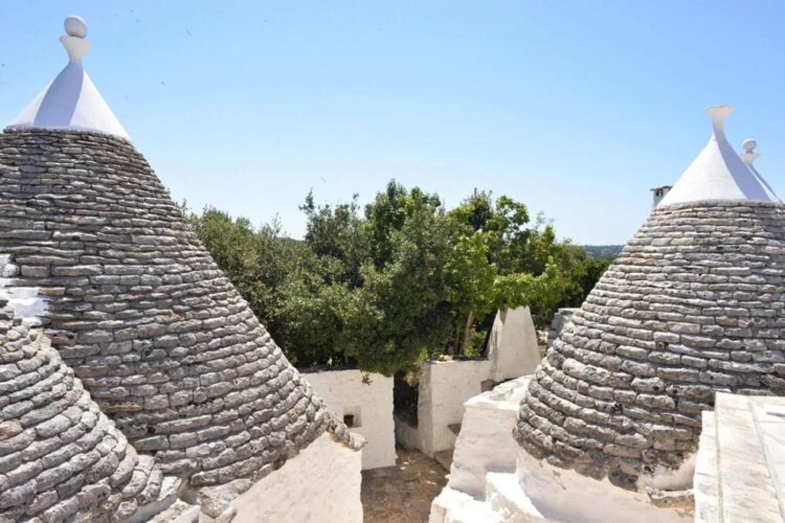 Trullo Cisternino - Type Trullo Francesco-Gebieden zomer 1km