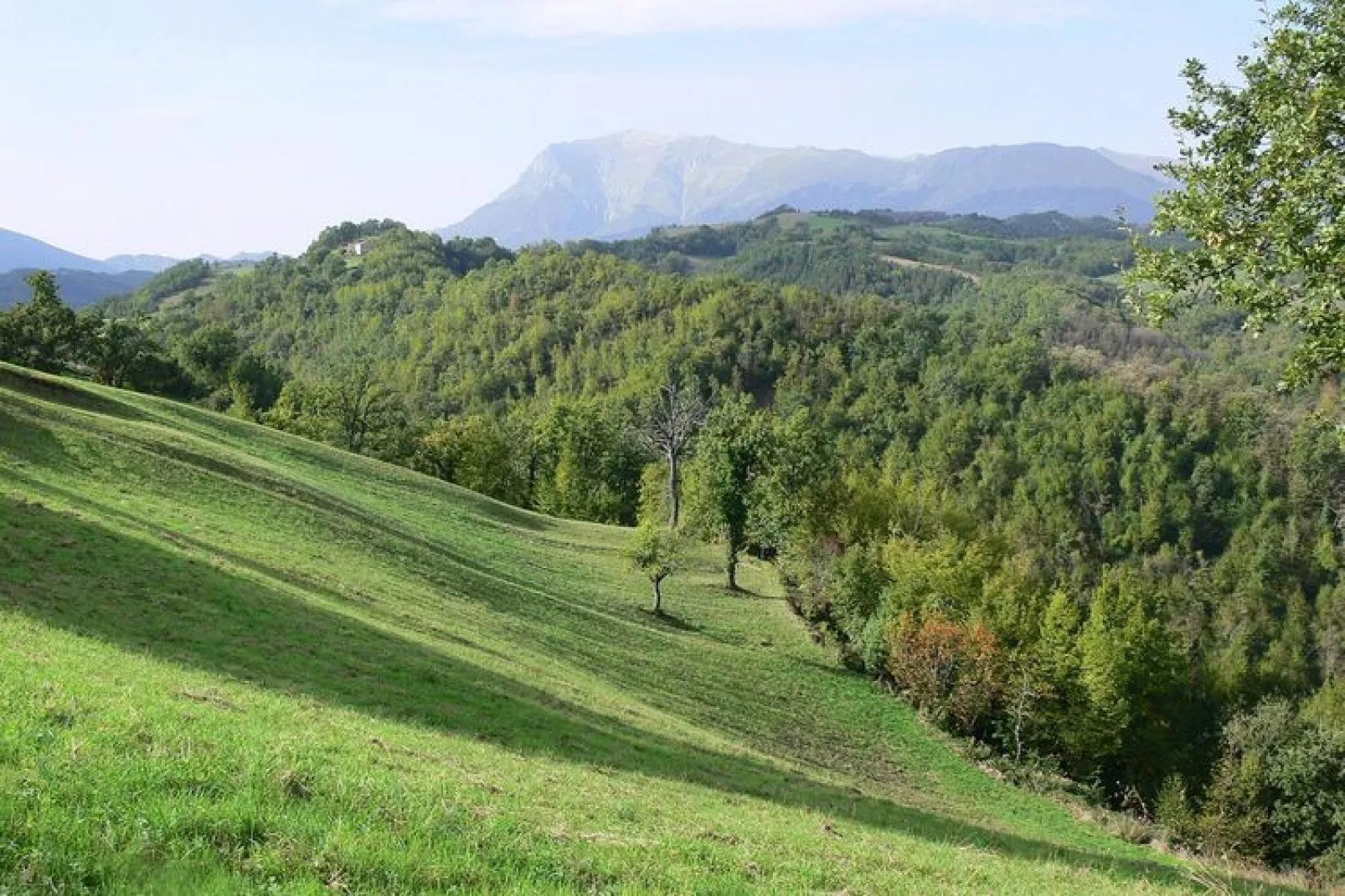 Agri-tourism La Filomena Montefortino - l'Infinito-Gebieden zomer 5km