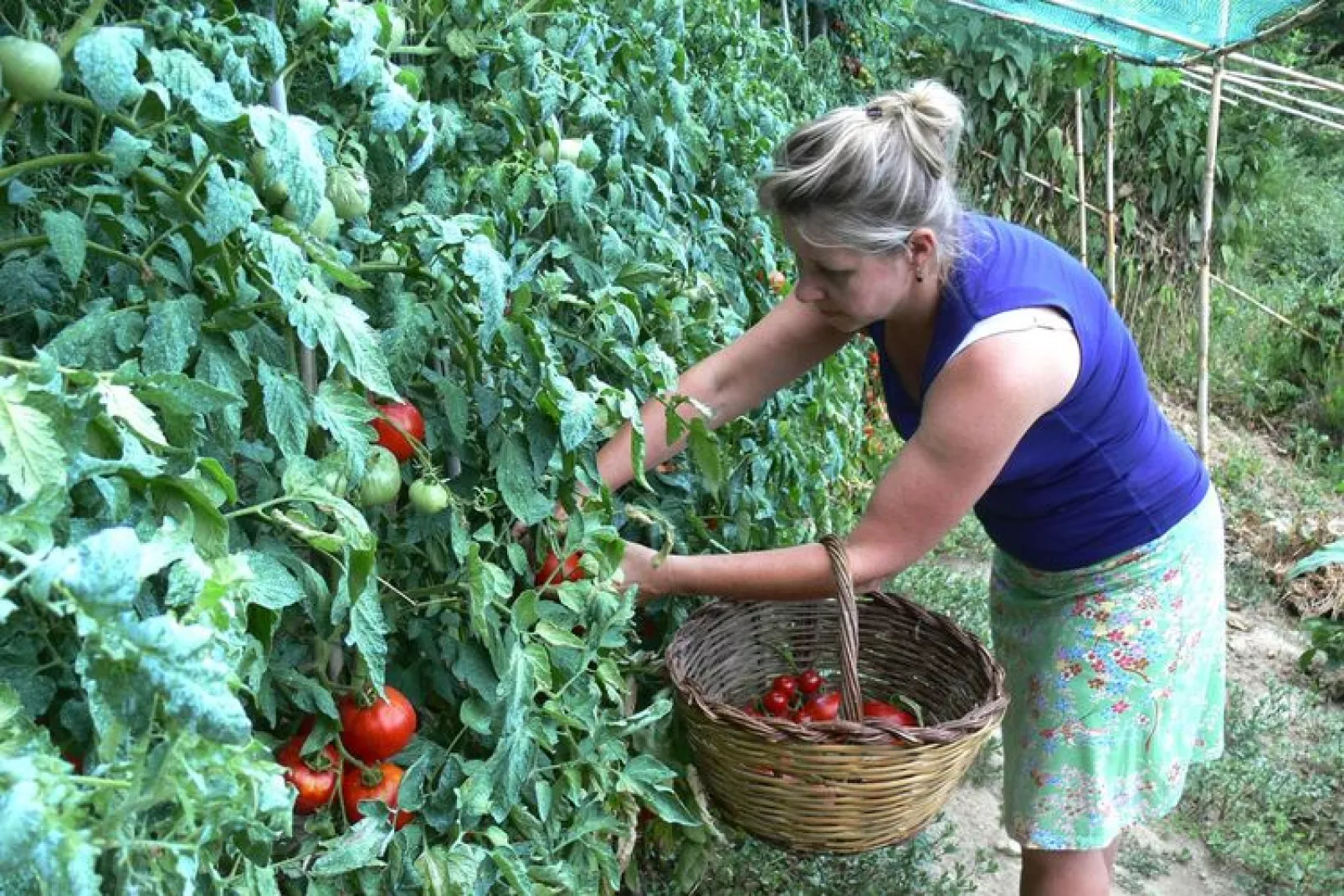 Agri-tourism La Filomena Montefortino - l'Infinito-Gebieden zomer 5km