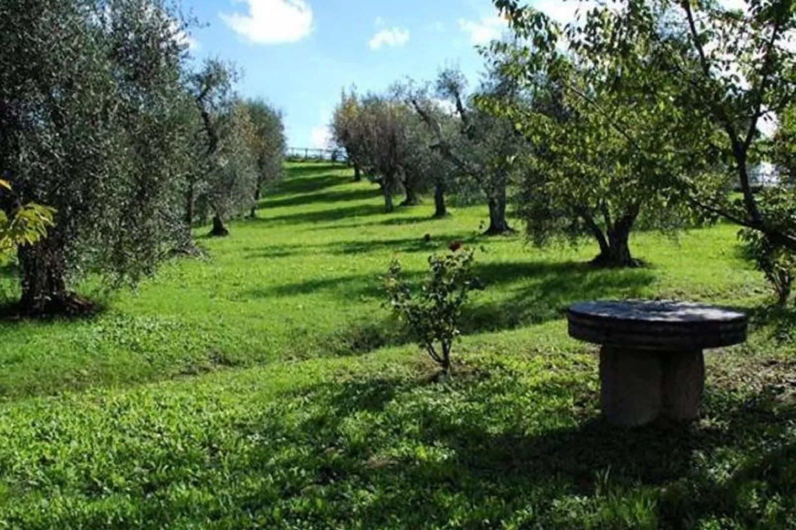 Podere Torre-Gebieden zomer 1km