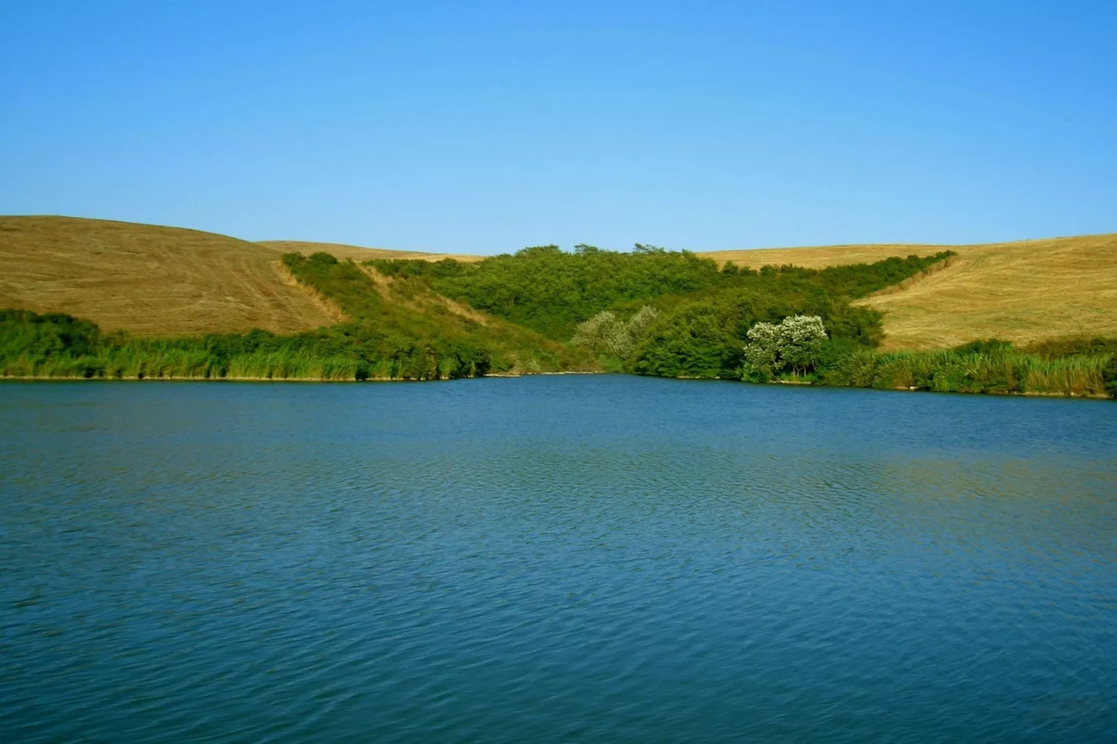 Acquadue-Gebieden zomer 1km