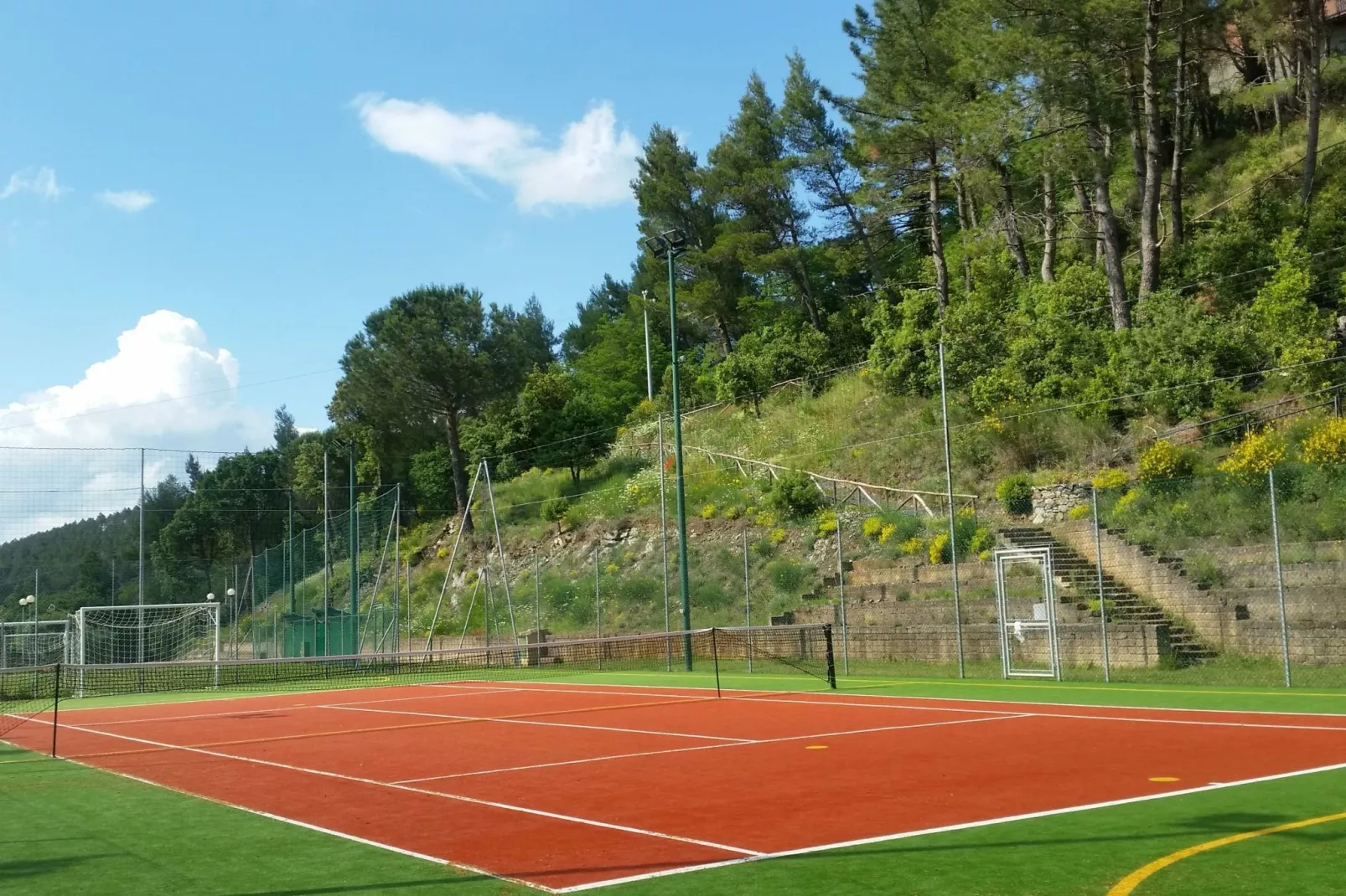 Bellavista-Gebieden zomer 1km