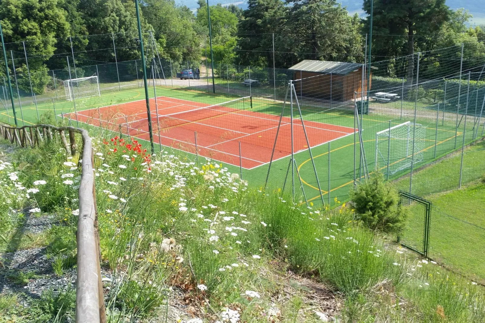 Bellavista-Gebieden zomer 1km