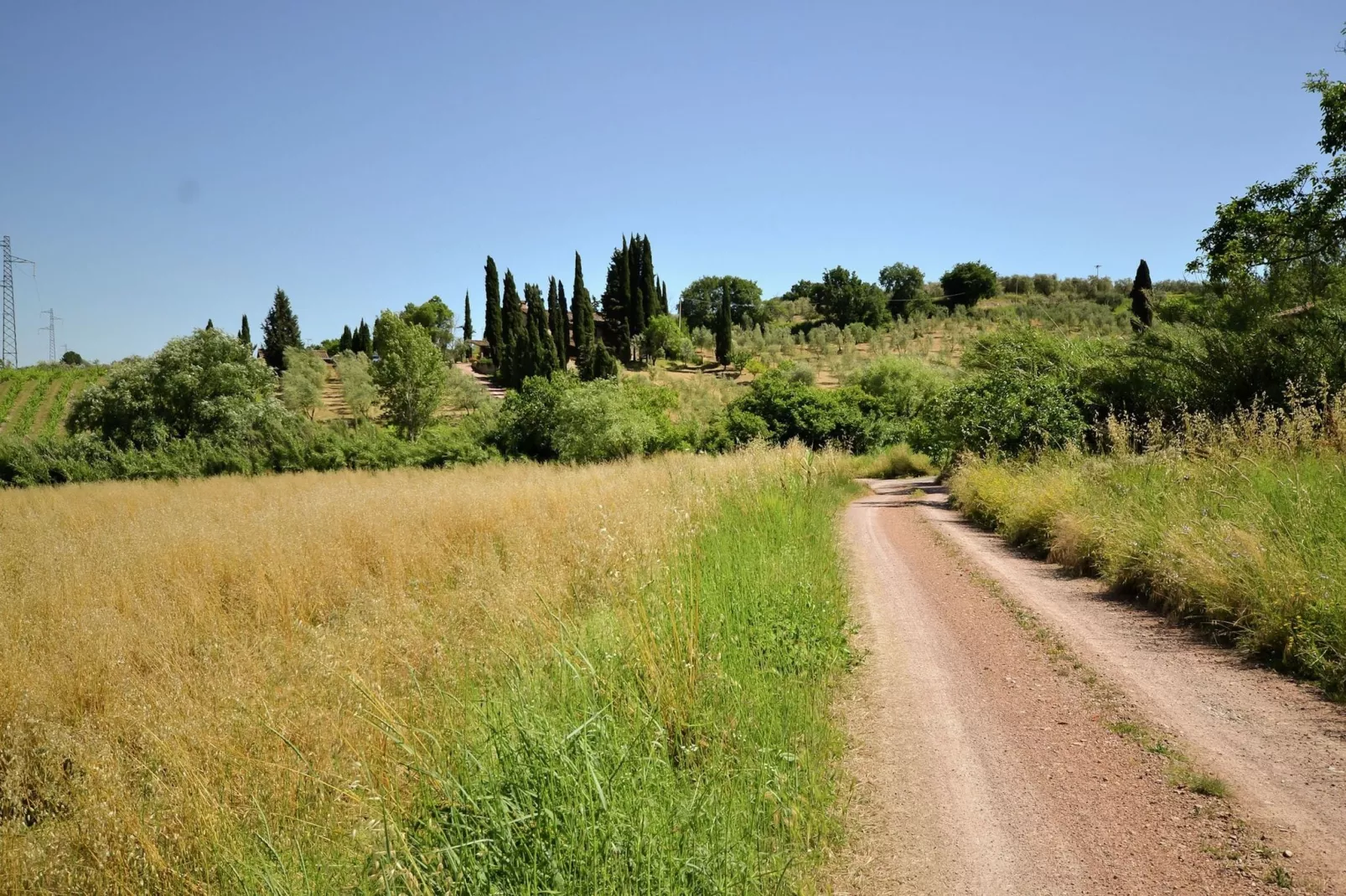 Bellavista-Gebieden zomer 5km