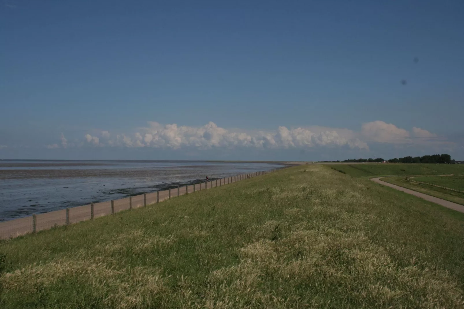 Charmant chalet met riante tuin, bij de Waddenzee-Gebieden zomer 1km