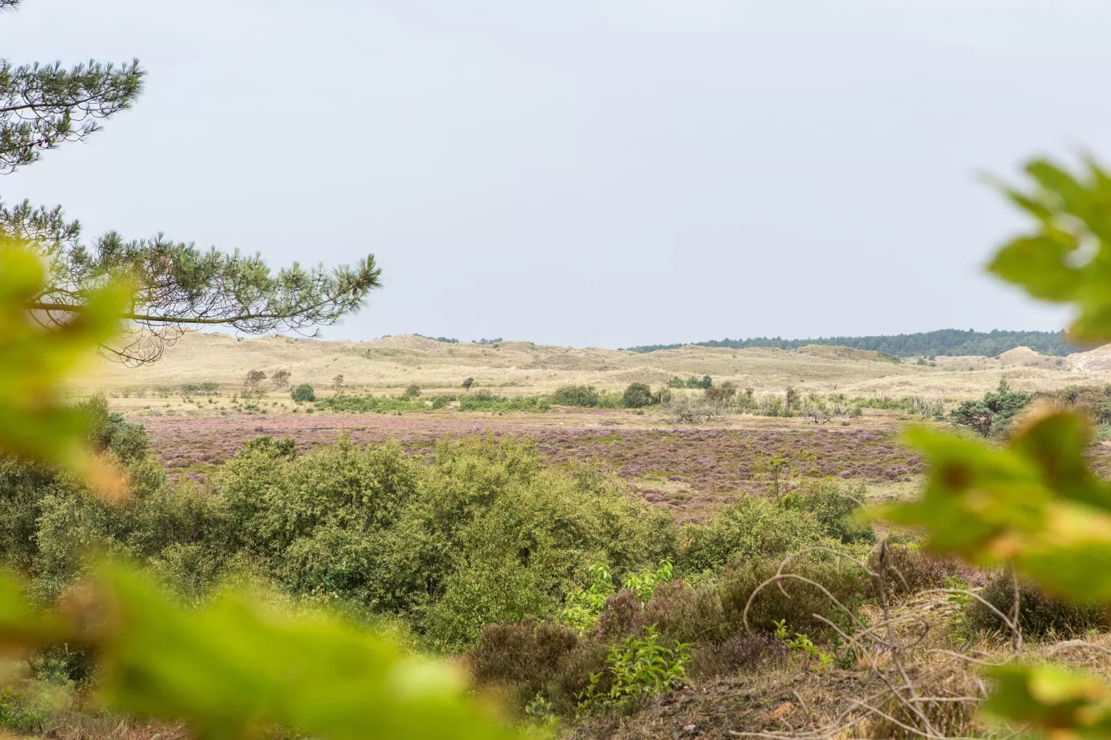 Vakantiepark Duynzicht 1-Gebieden zomer 1km