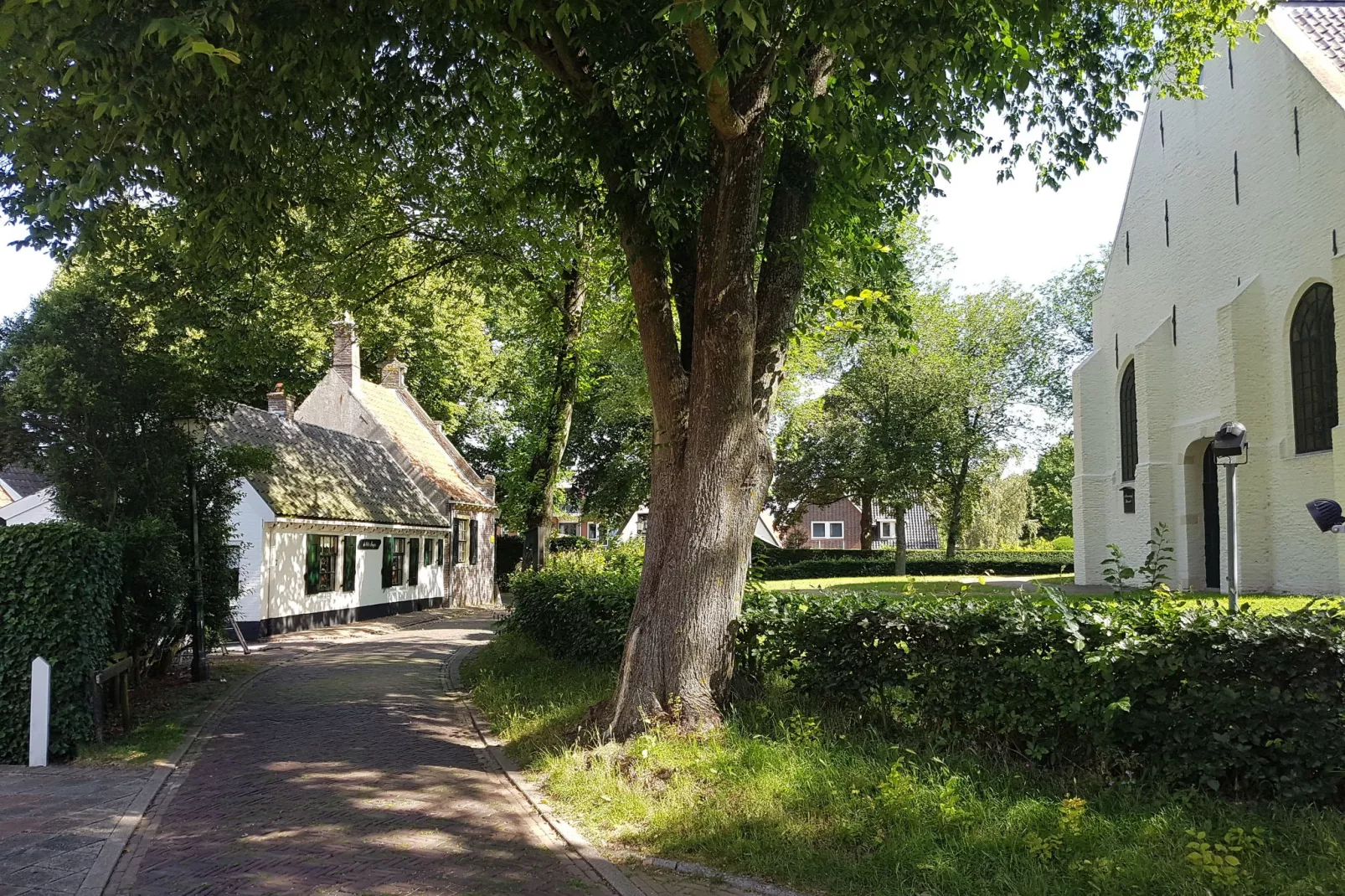 De Groene Lantaarn-Gebieden zomer 1km