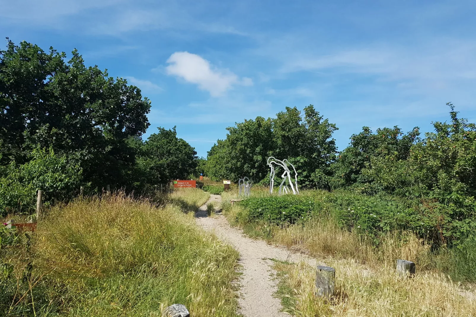 De Groene Lantaarn-Gebieden zomer 1km