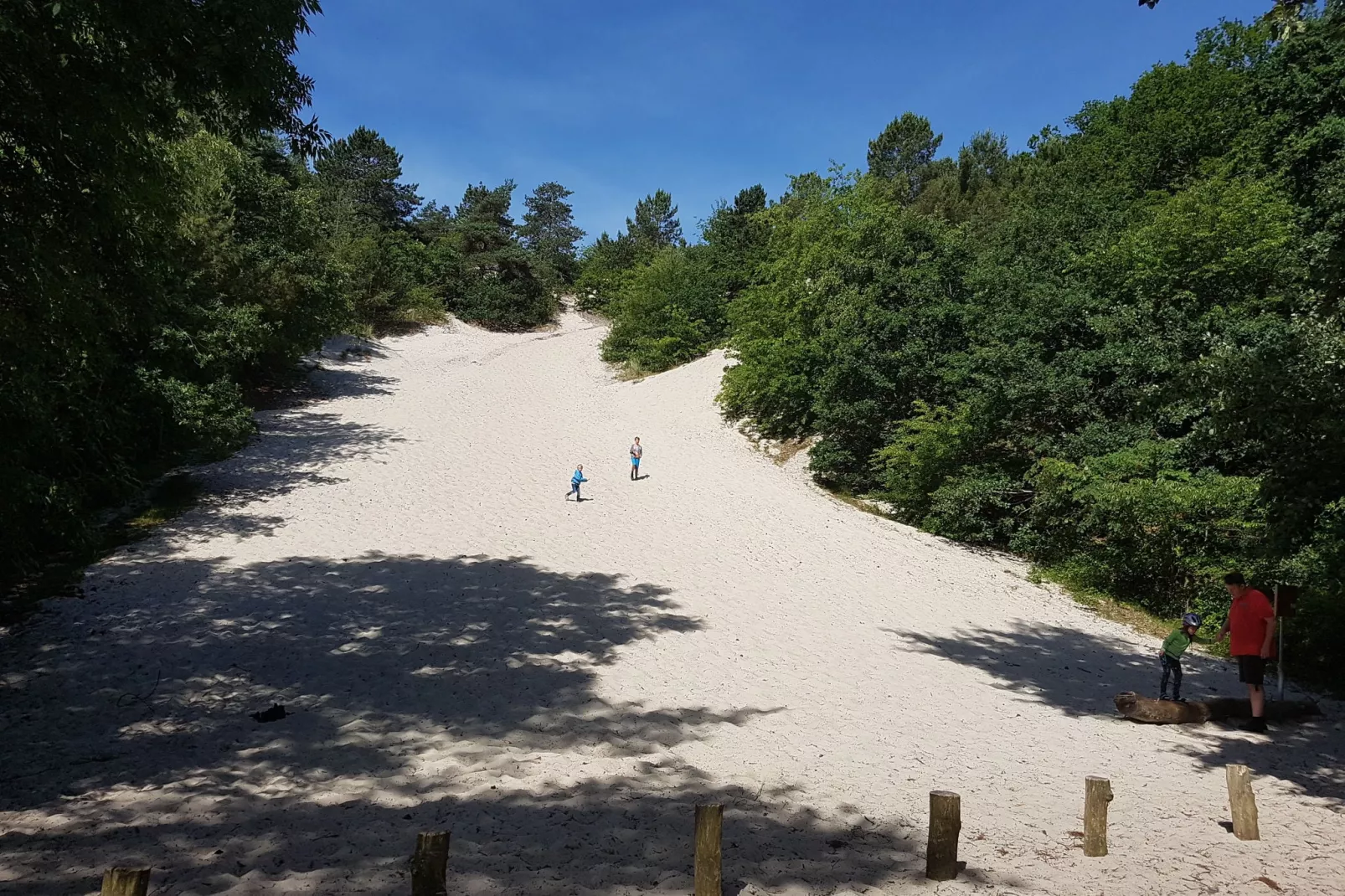 De Groene Lantaarn-Gebieden zomer 5km