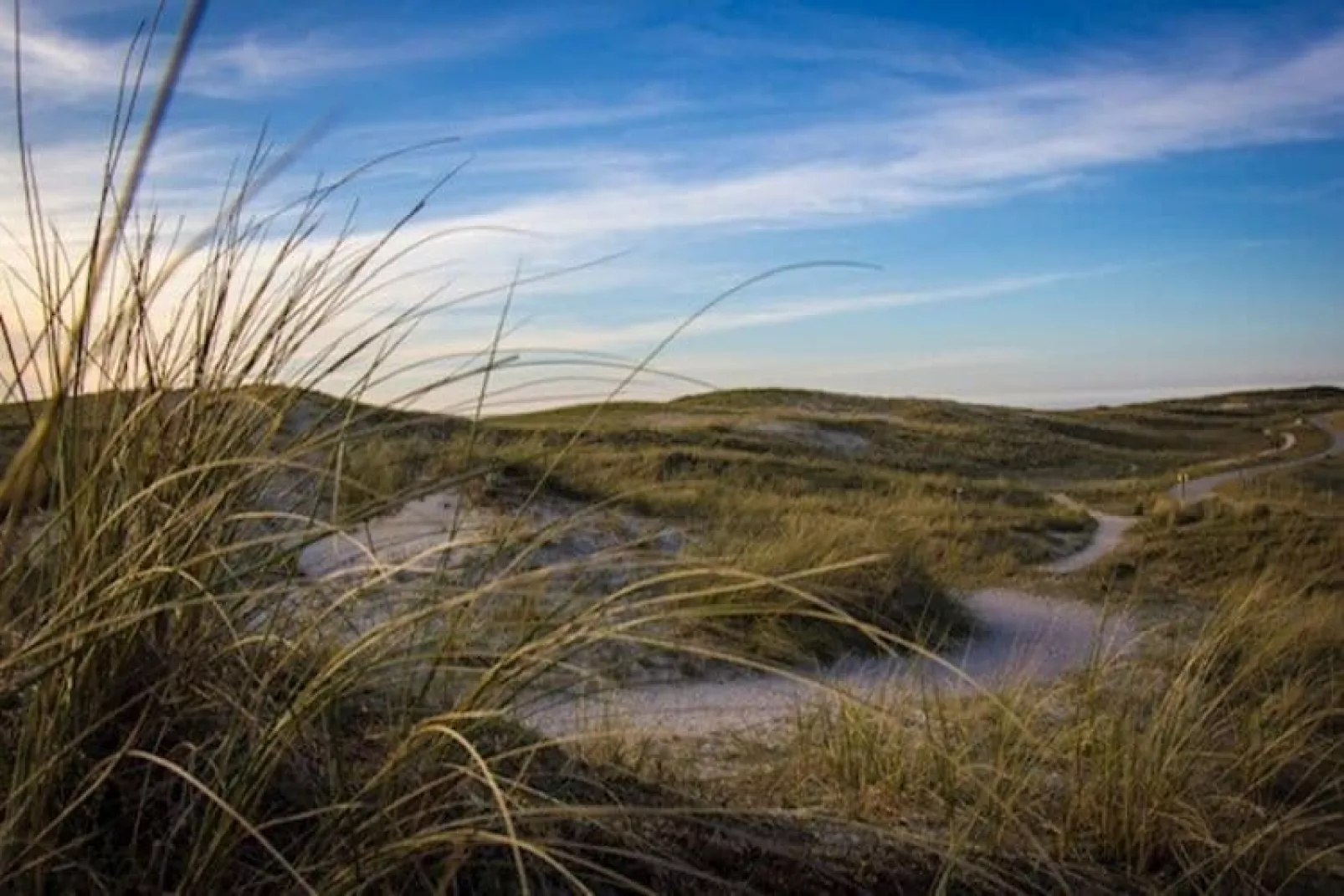 Gentiaan aan Zee-Gebieden zomer 5km