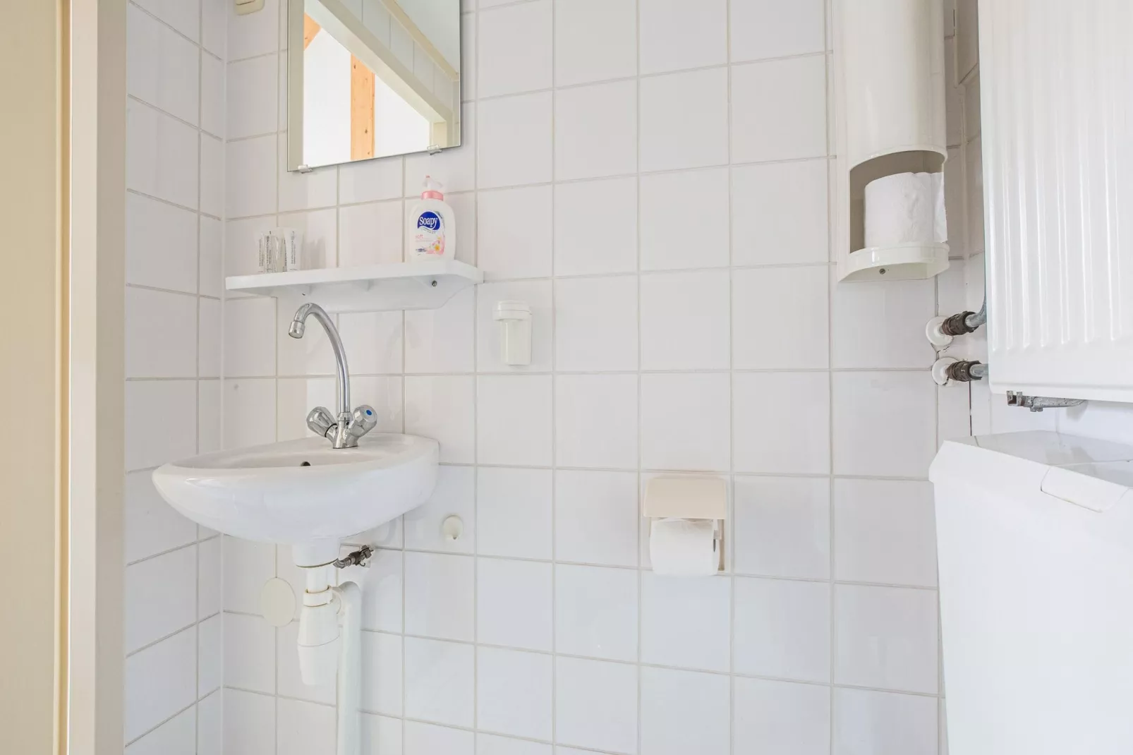 Villa Tulp en Duin-Badkamer