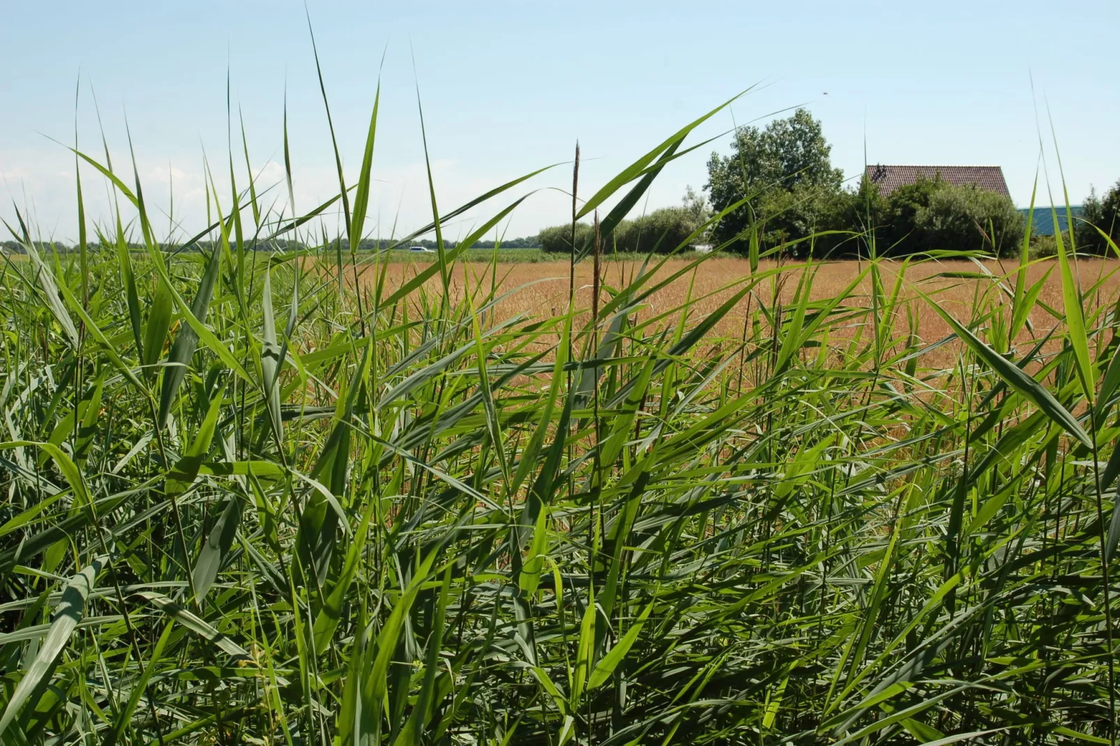 Kustpark Texel 5-Gebieden zomer 5km