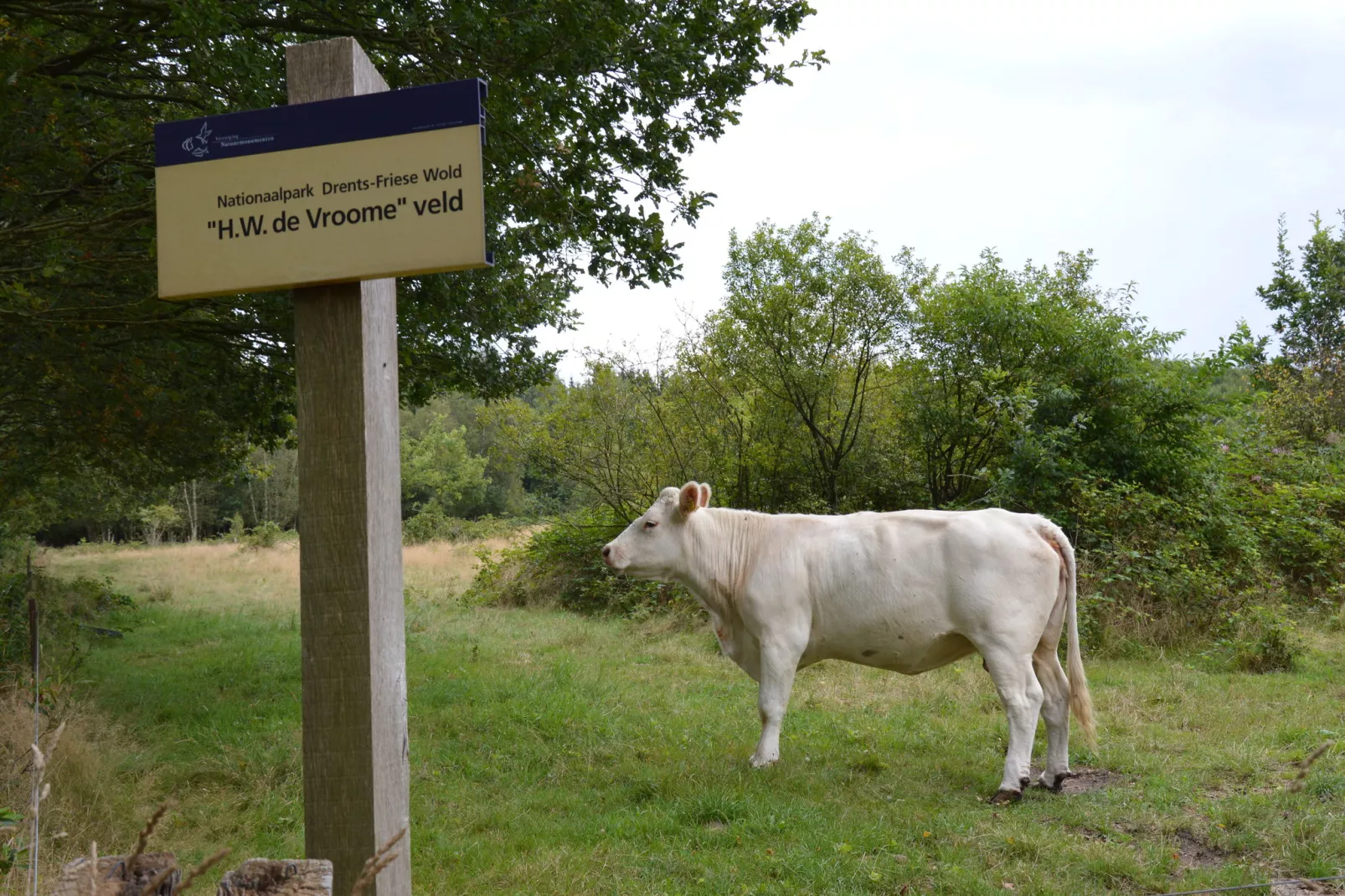 De Botterviever