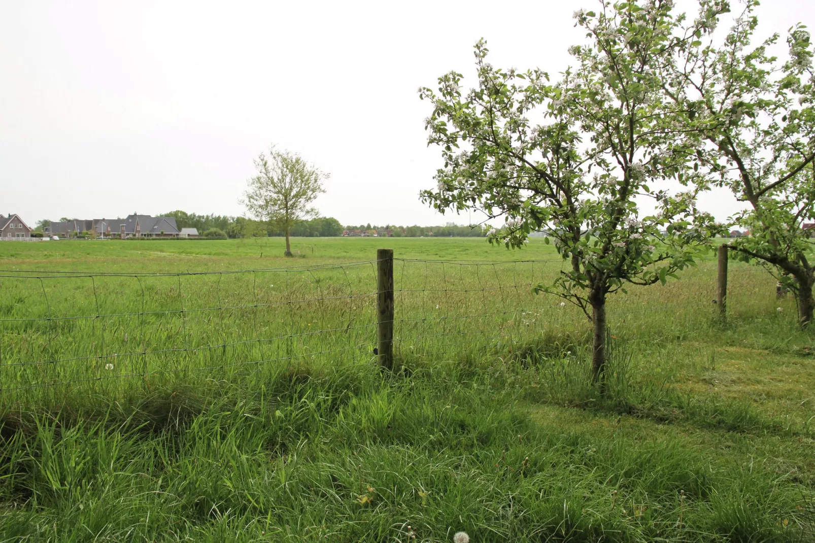 't Haske-Gebieden zomer 1km