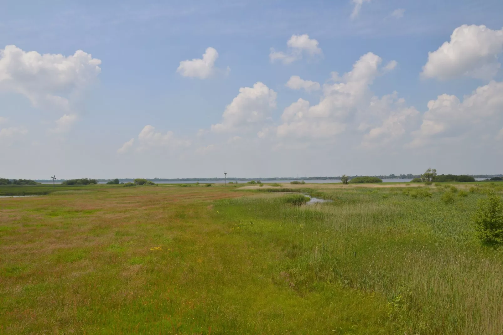 Koetshuis Kollum-Gebieden zomer 20km