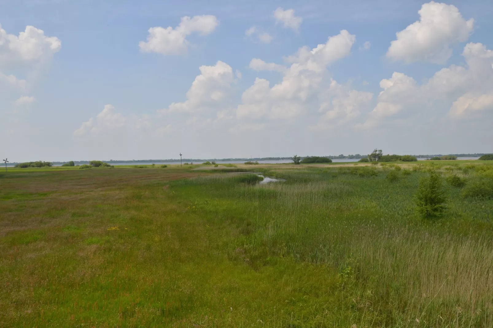 Koetshuis Kollum-Gebieden zomer 20km