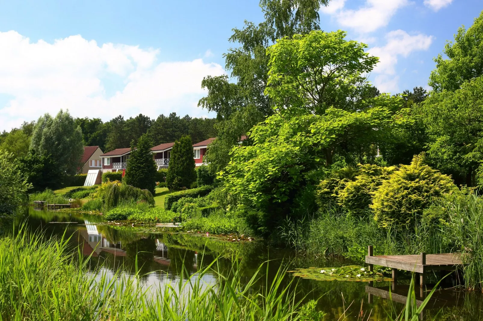 Vakantiepark Emslandermeer 1-Gebieden zomer 1km