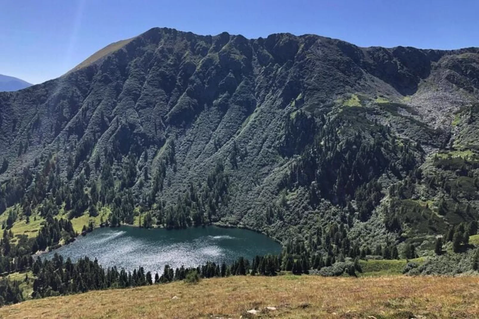 Holiday resort Almdorf Hohentauern Hohentauern im Murtal-Tauernchalet Wellness XL-Gebieden zomer 5km