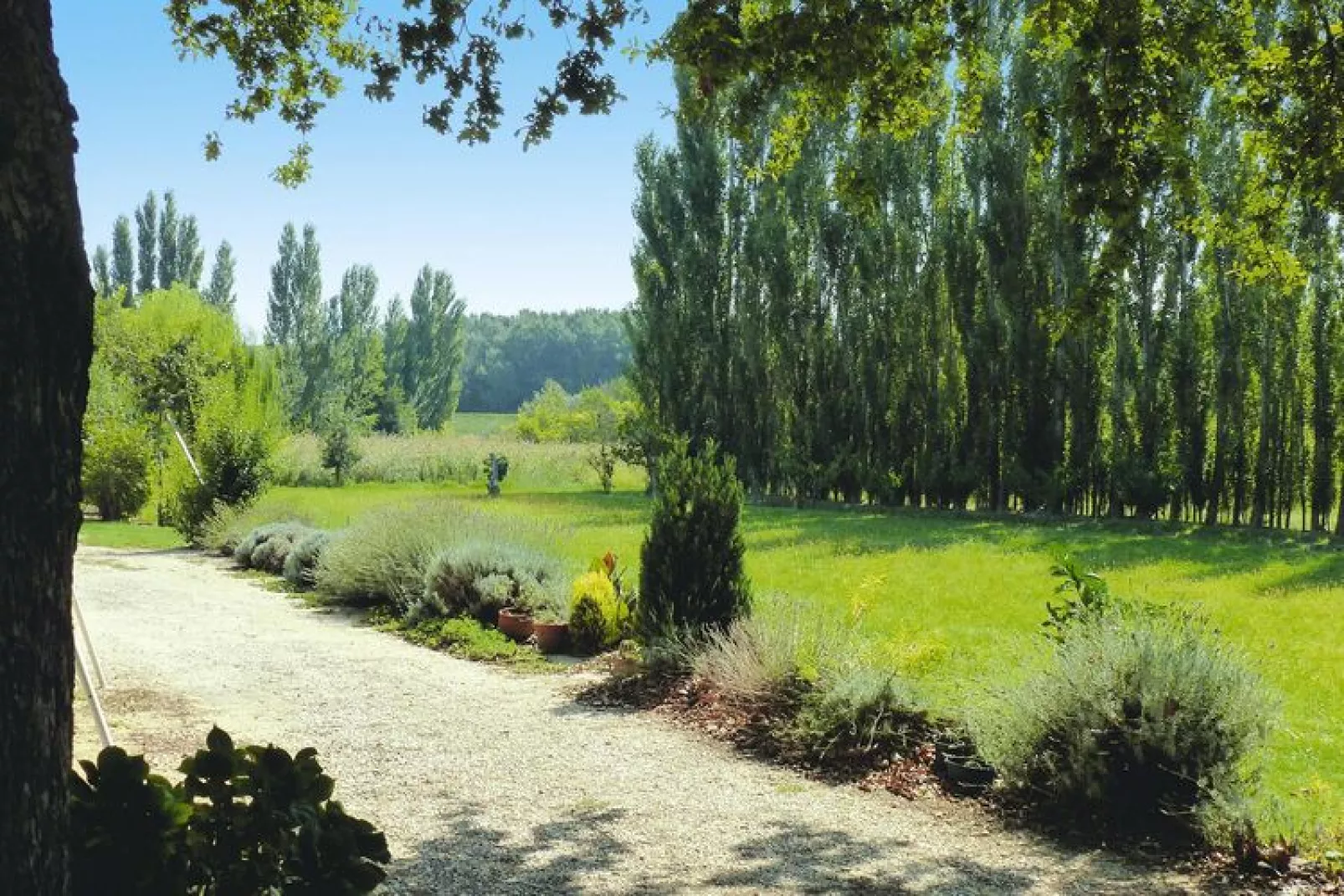 Doppelhaushälfte in Beaucaire-Tuinen zomer