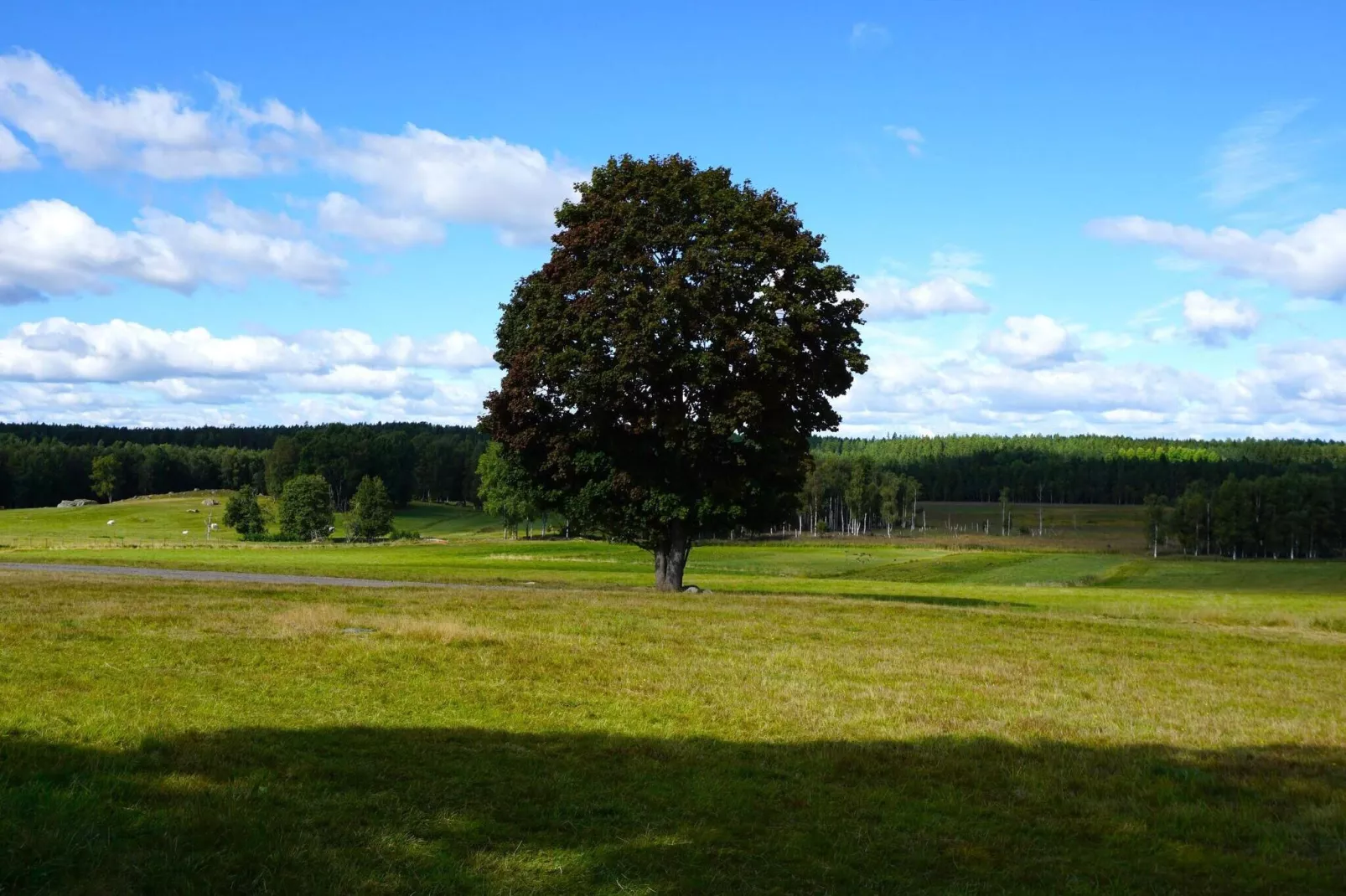4 persoons vakantie huis in Högsjö-By Traum-Niet-getagd