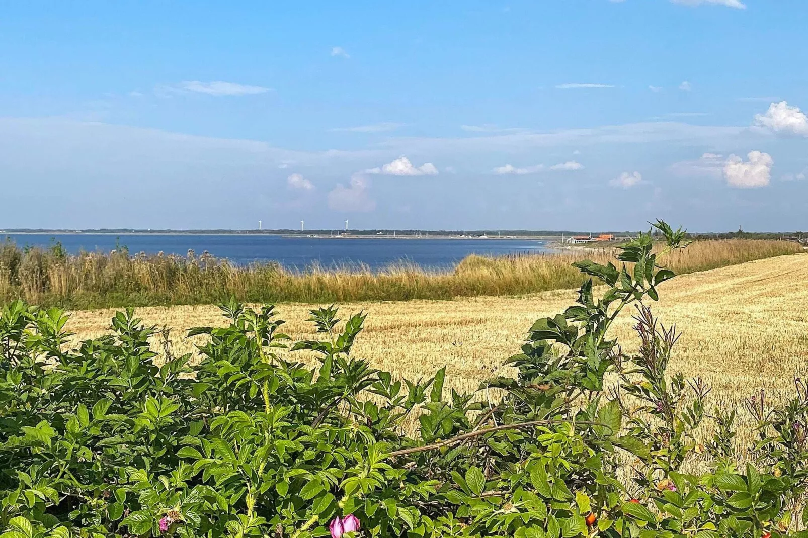 6 persoons vakantie huis in Vinderup-By Traum-Waterzicht