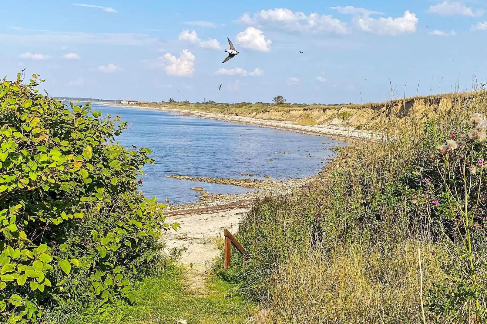 6 persoons vakantie huis in Vinderup-By Traum-Uitzicht