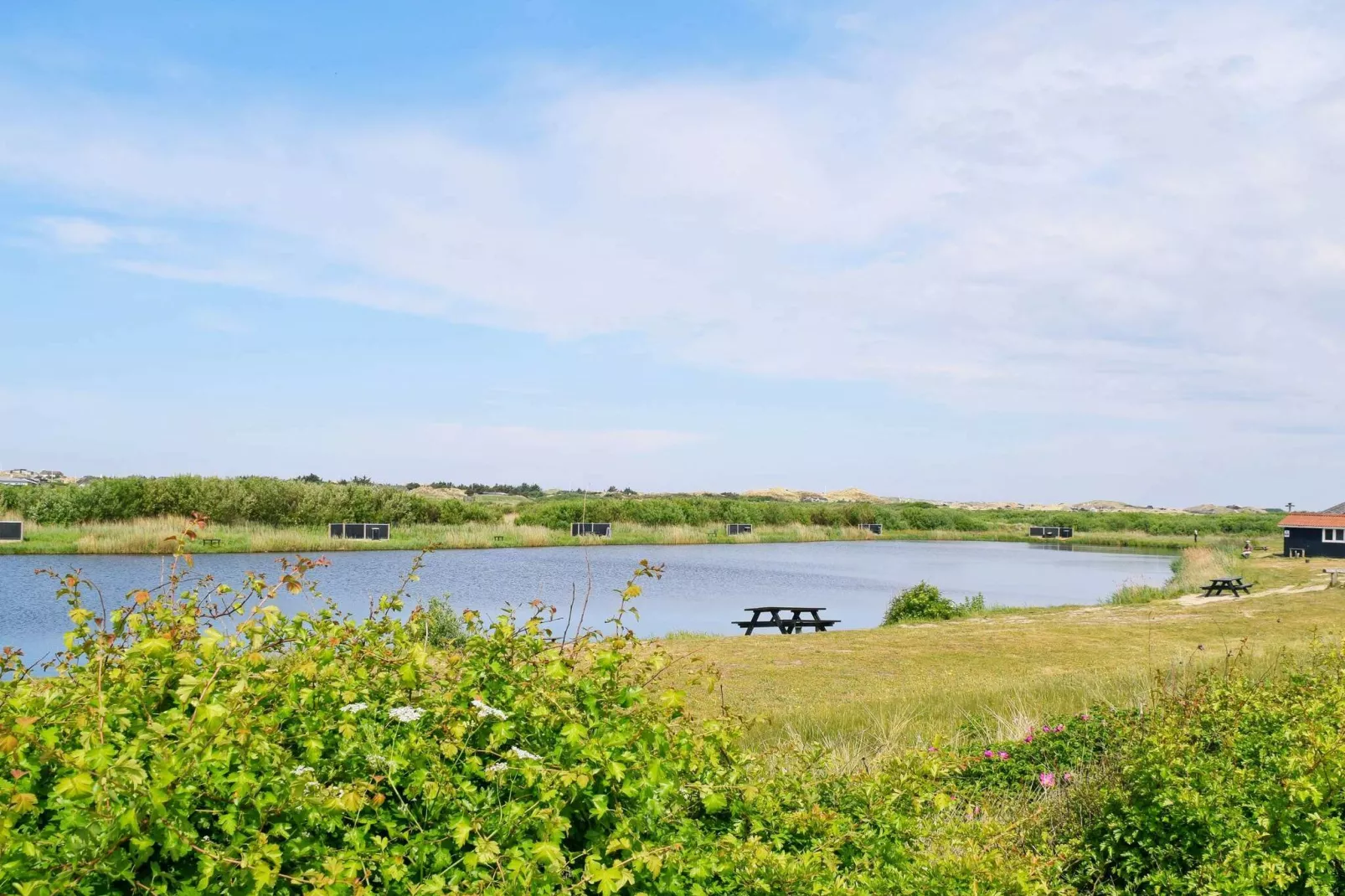 6 persoons vakantie huis in Ringkøbing-Buitenlucht