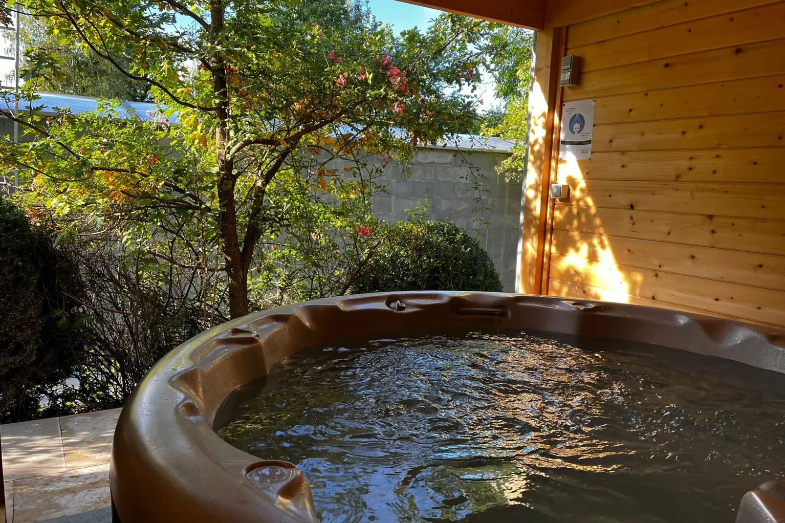 wellness
