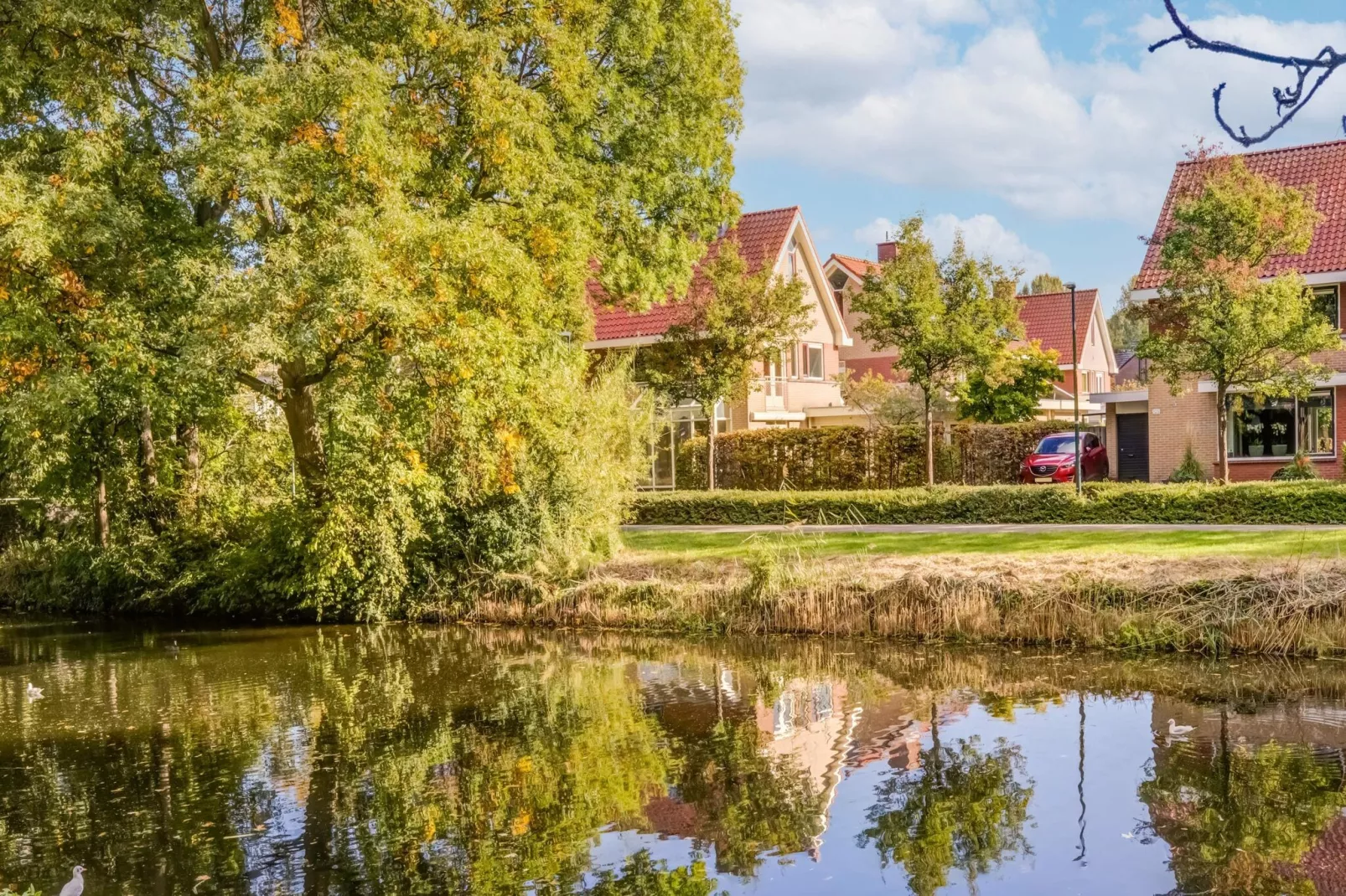 Vakantiewoning Blauw-Tuinen zomer