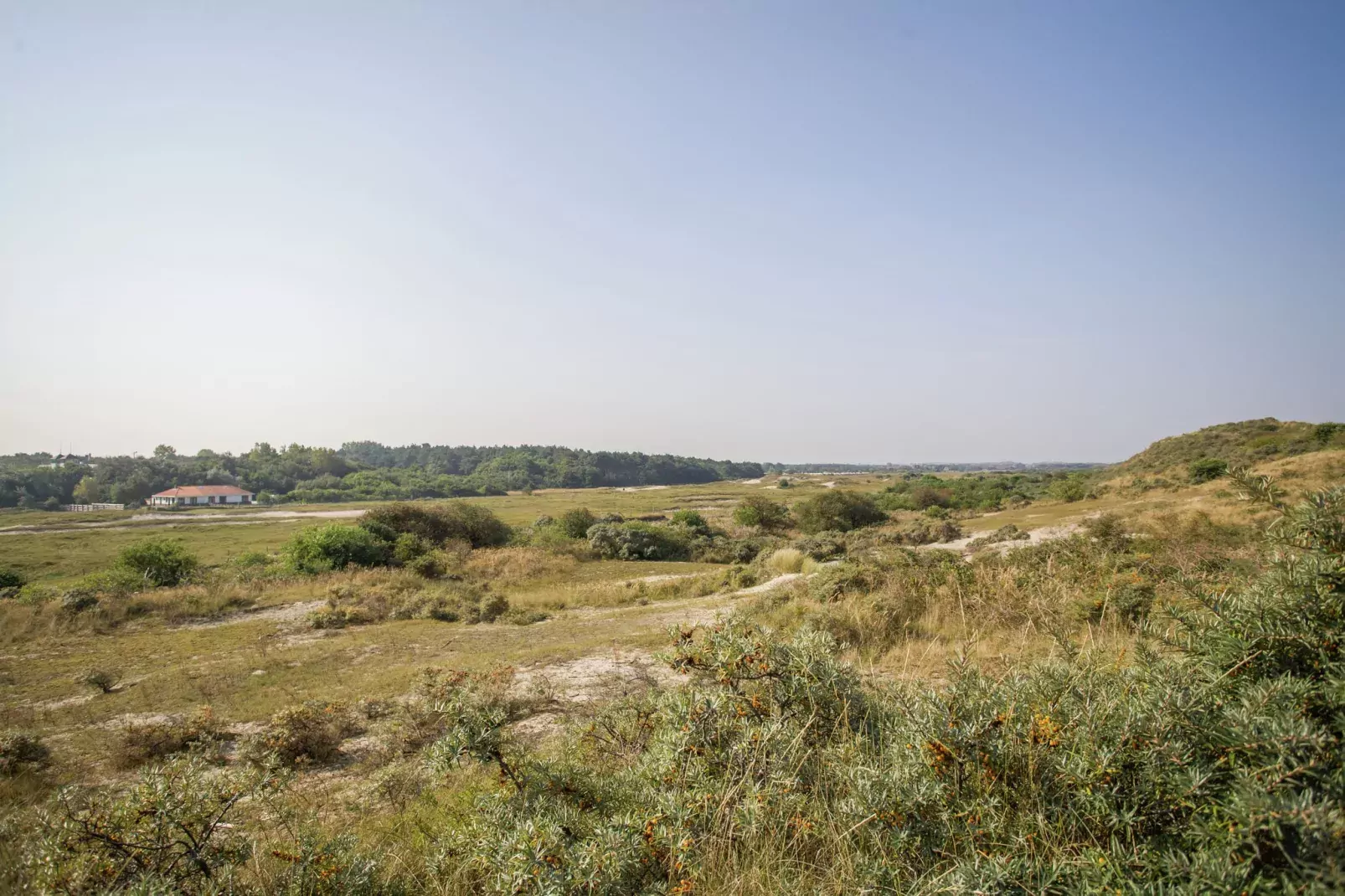Julianahoeve - Chalet aan zee en duinen-Gebieden zomer 1km