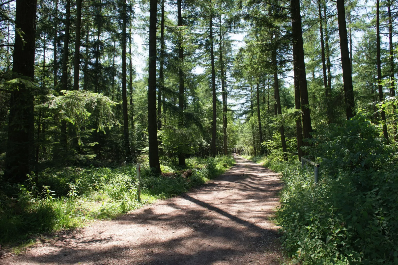 Les Terrasses-Gebieden zomer 5km