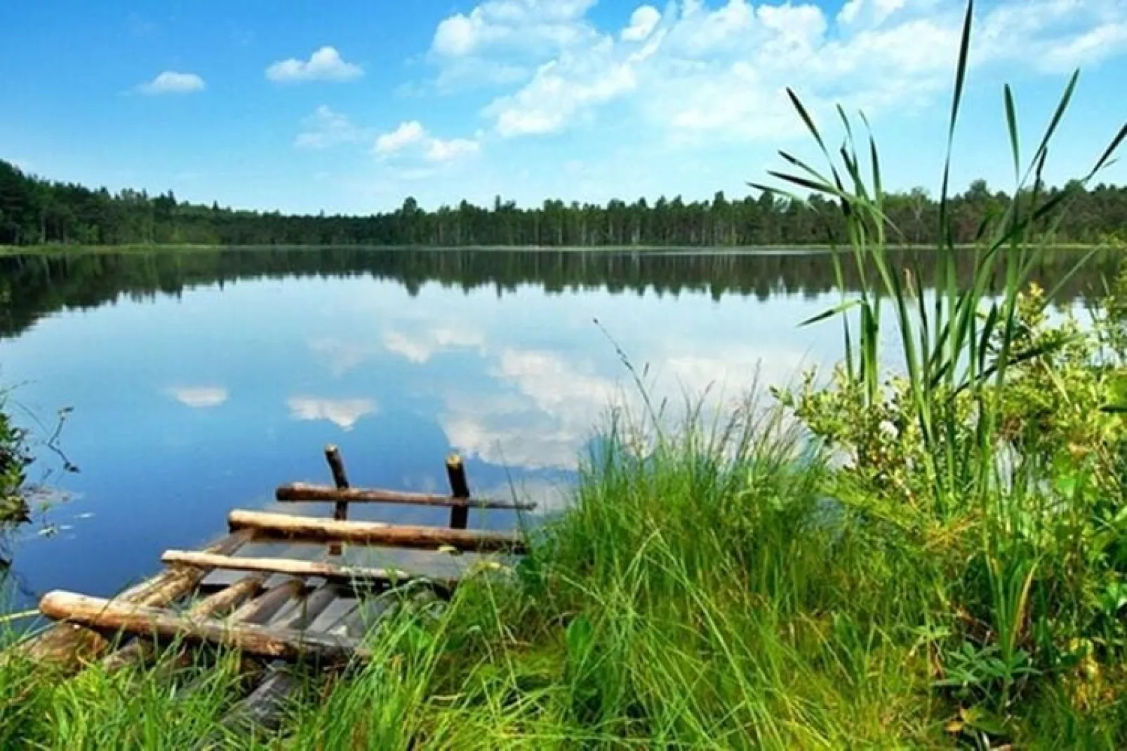 Verano domki letniskowe Osieki-Gebieden zomer 1km