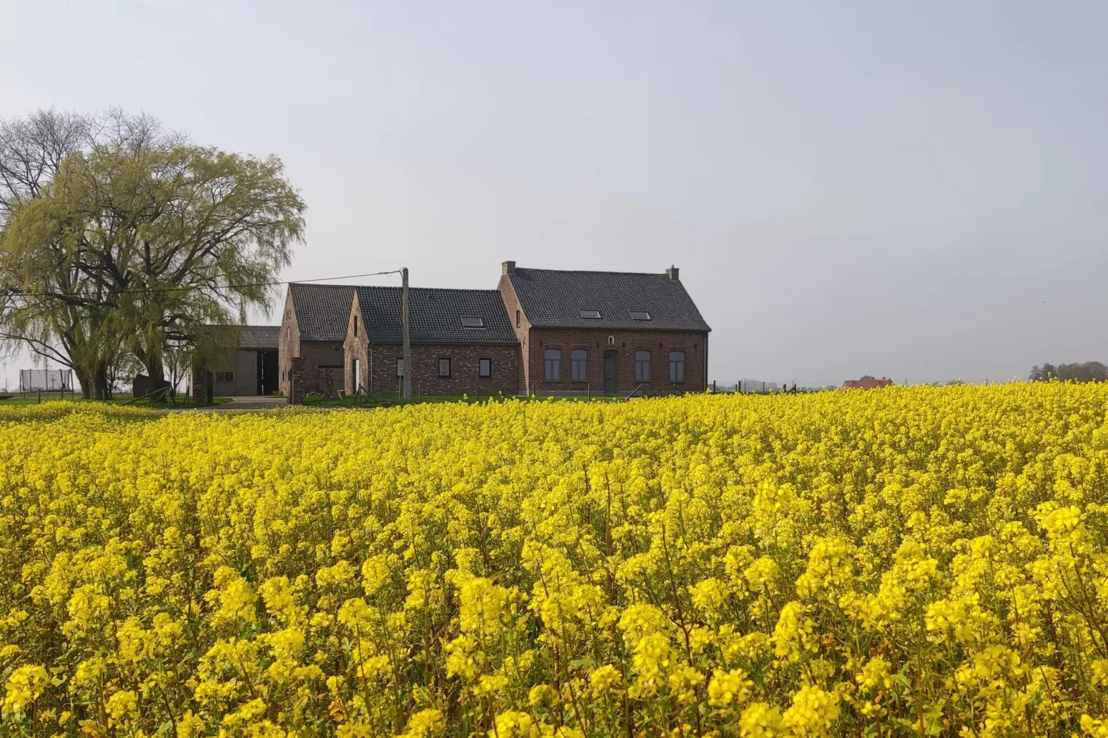 De Korte Lindehoeve-Buitenkant zomer